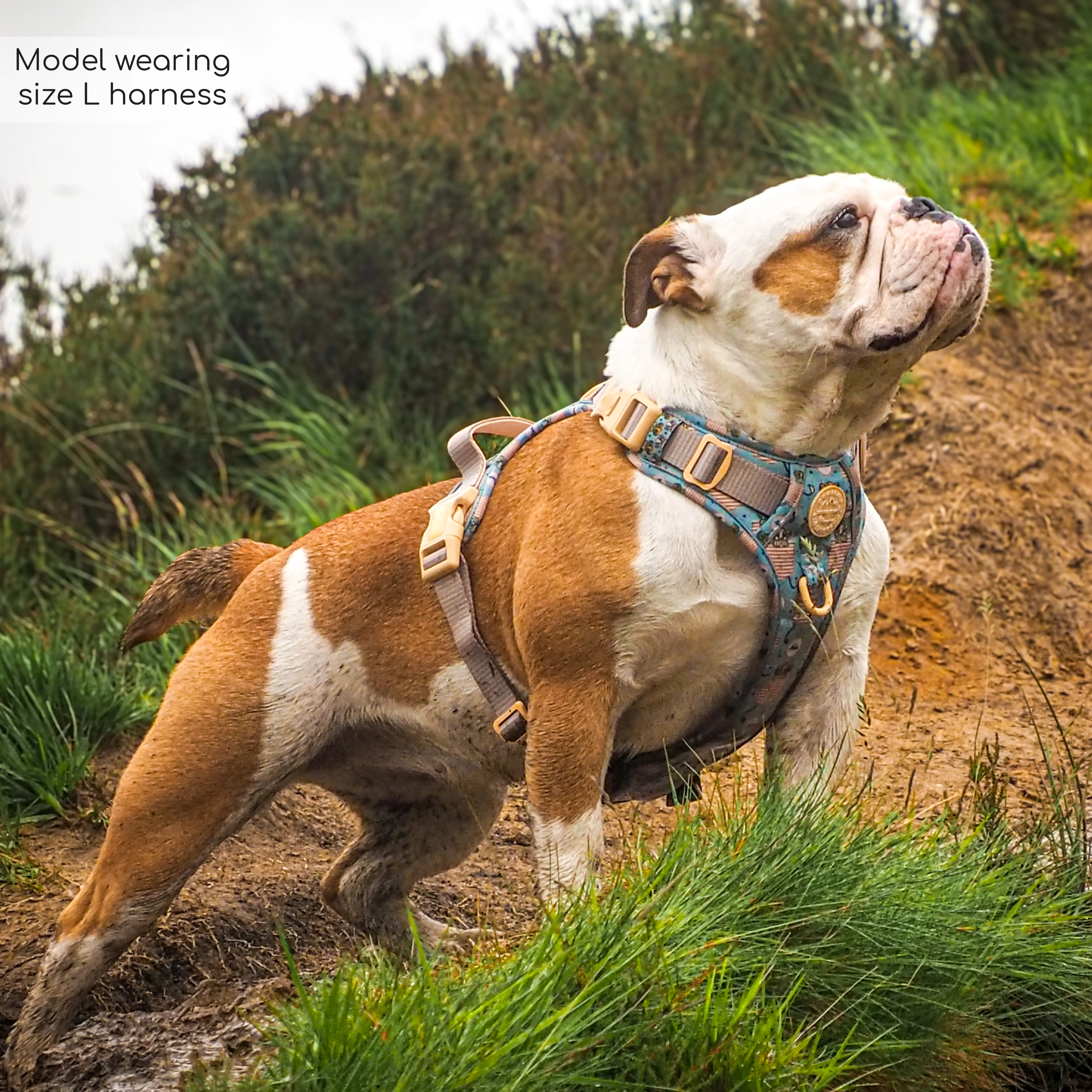 Disney© Tough Trails™ Harness - Lion Friends - Image 18