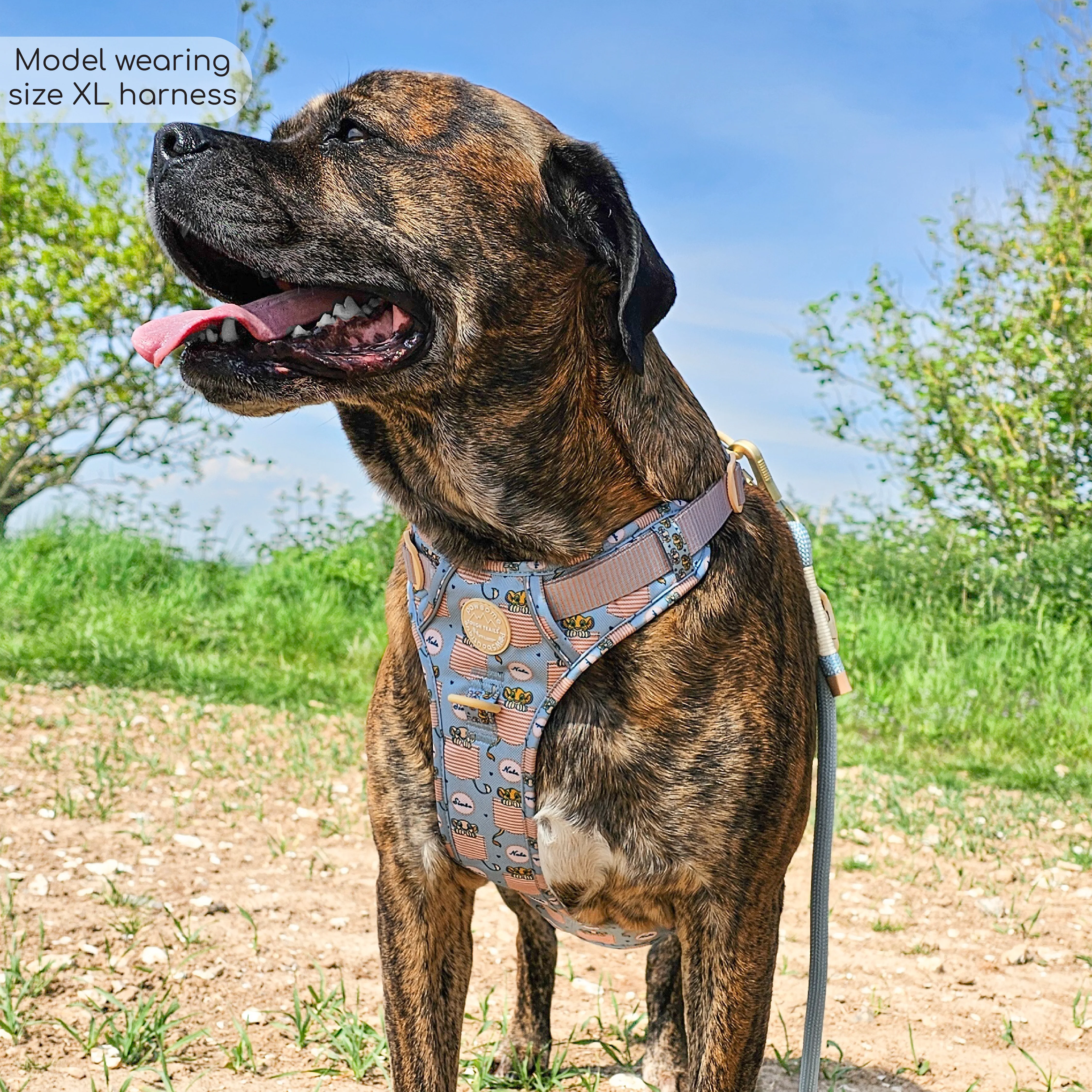 Disney© Tough Trails™ Harness - Lion Friends - Image 19