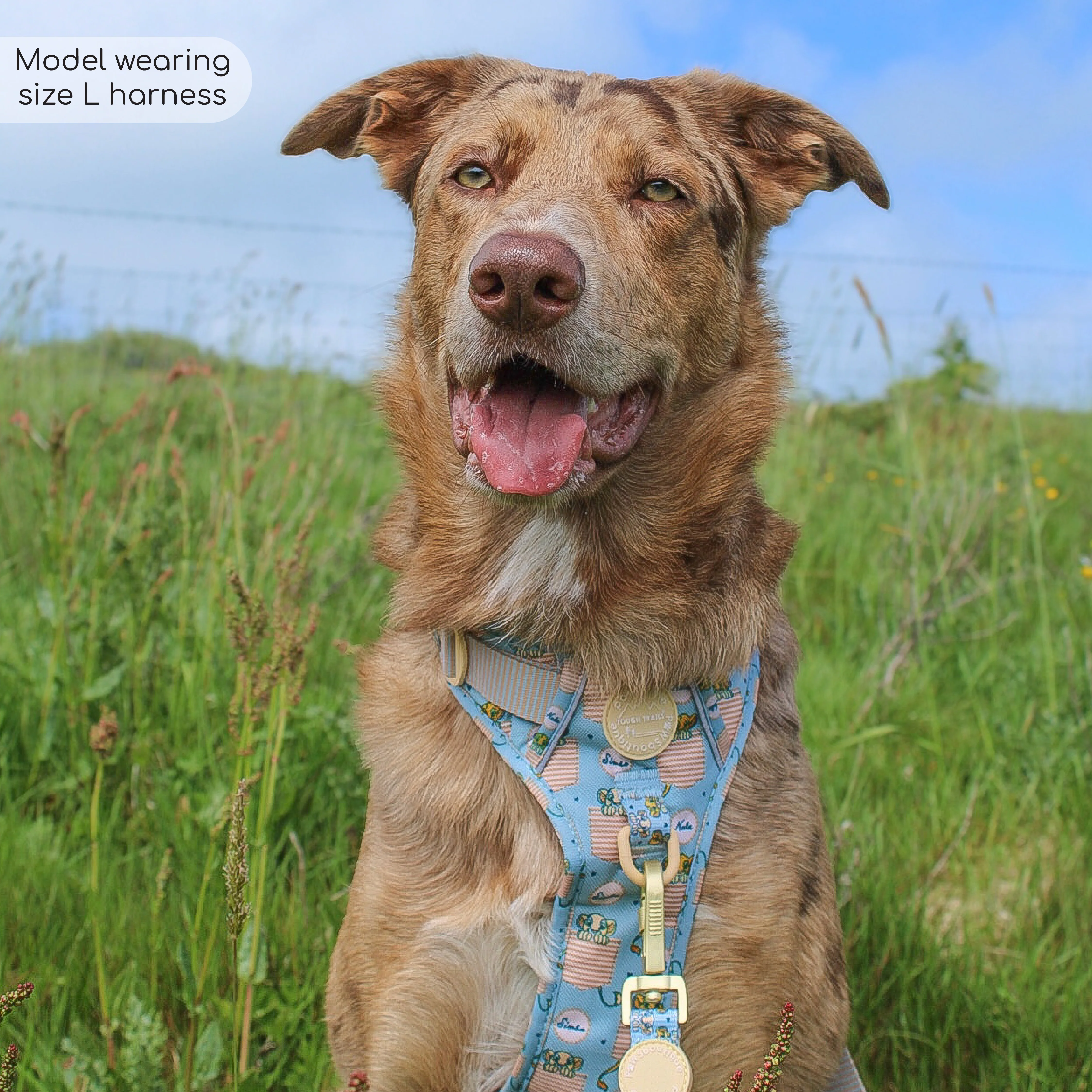 Disney© Tough Trails™ Harness - Lion Friends - Image 8