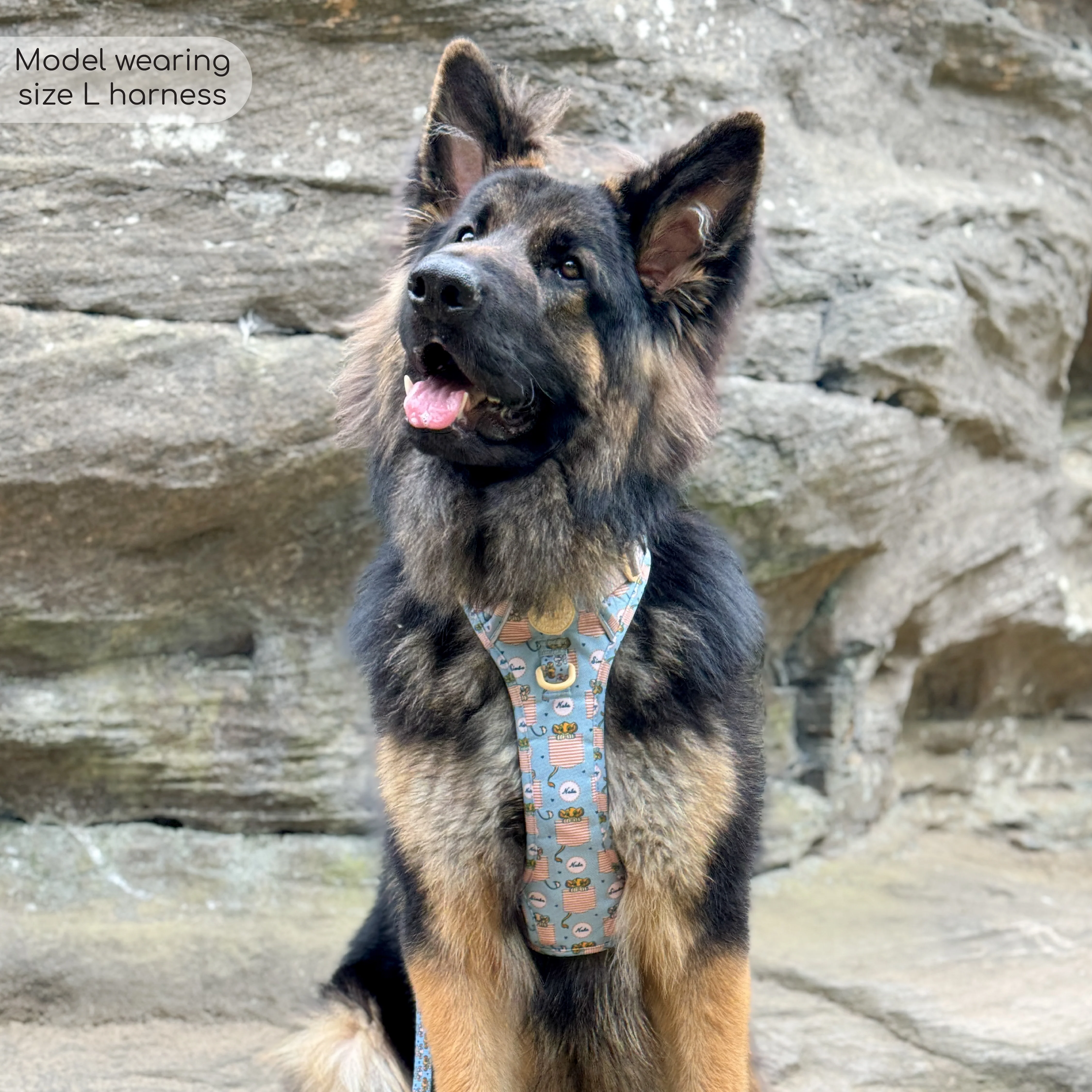 Disney© Tough Trails™ Harness - Lion Friends - Image 9