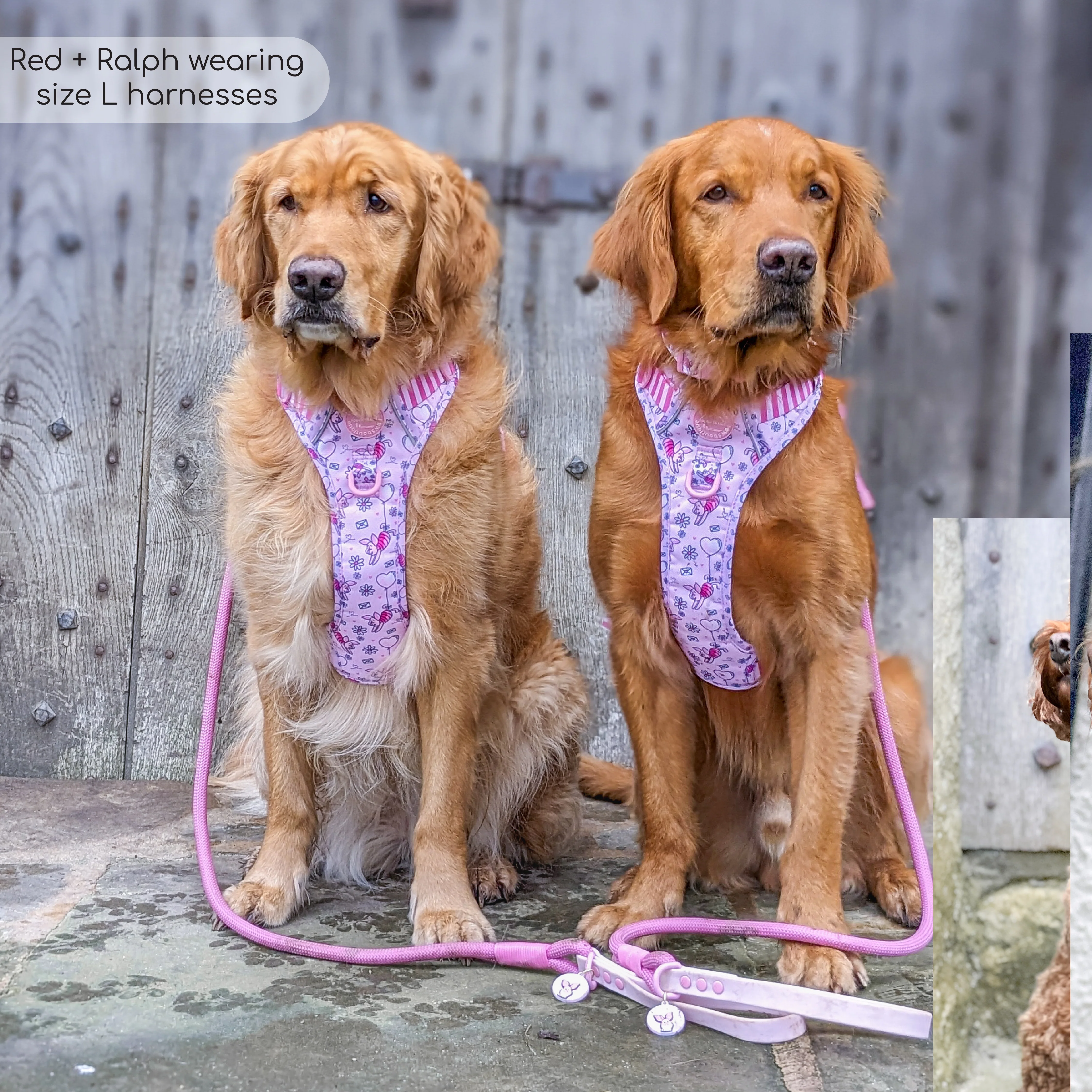Disney© Tough Trails™ Harness - Piglet - Image 16