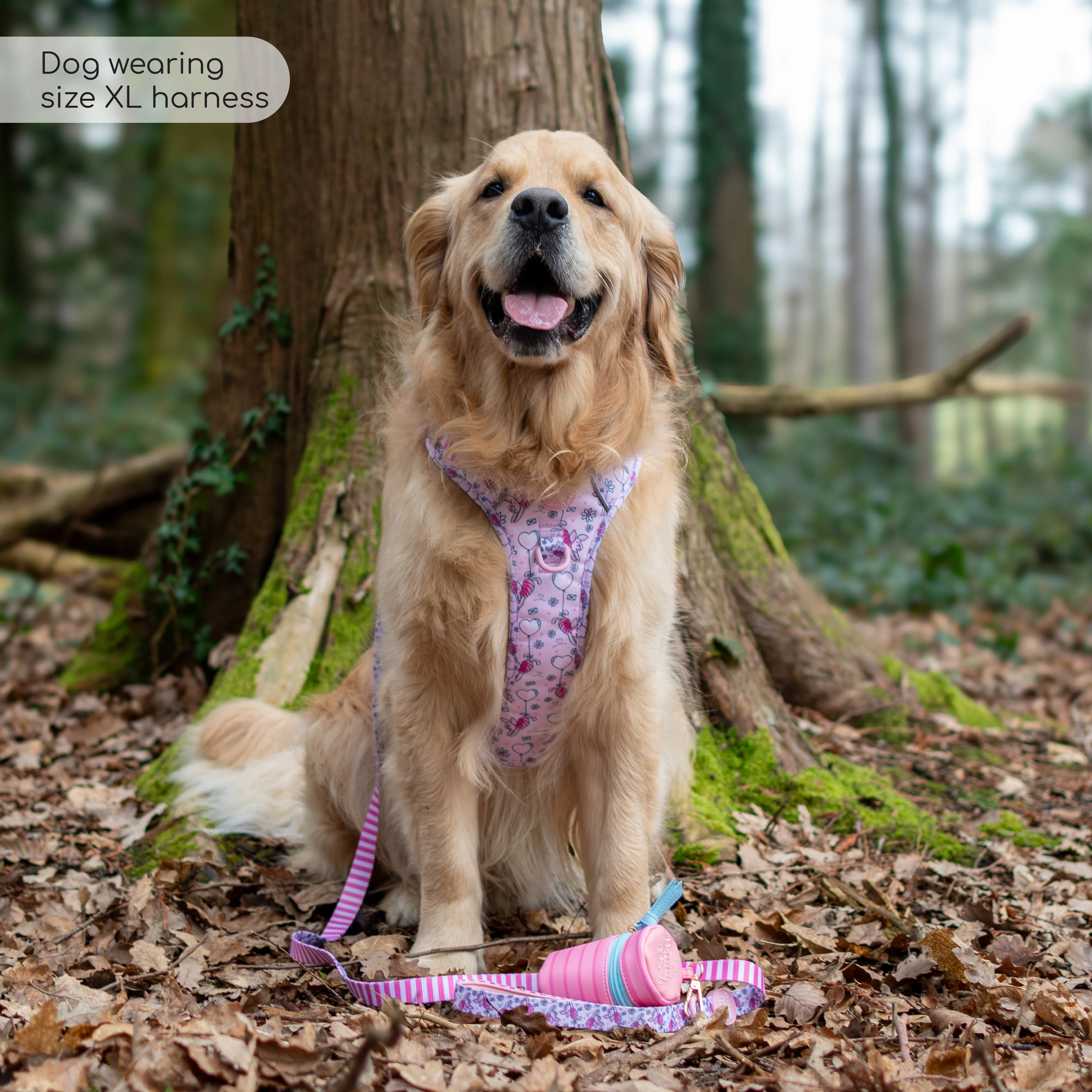 Disney© Tough Trails™ Harness - Piglet - Image 27