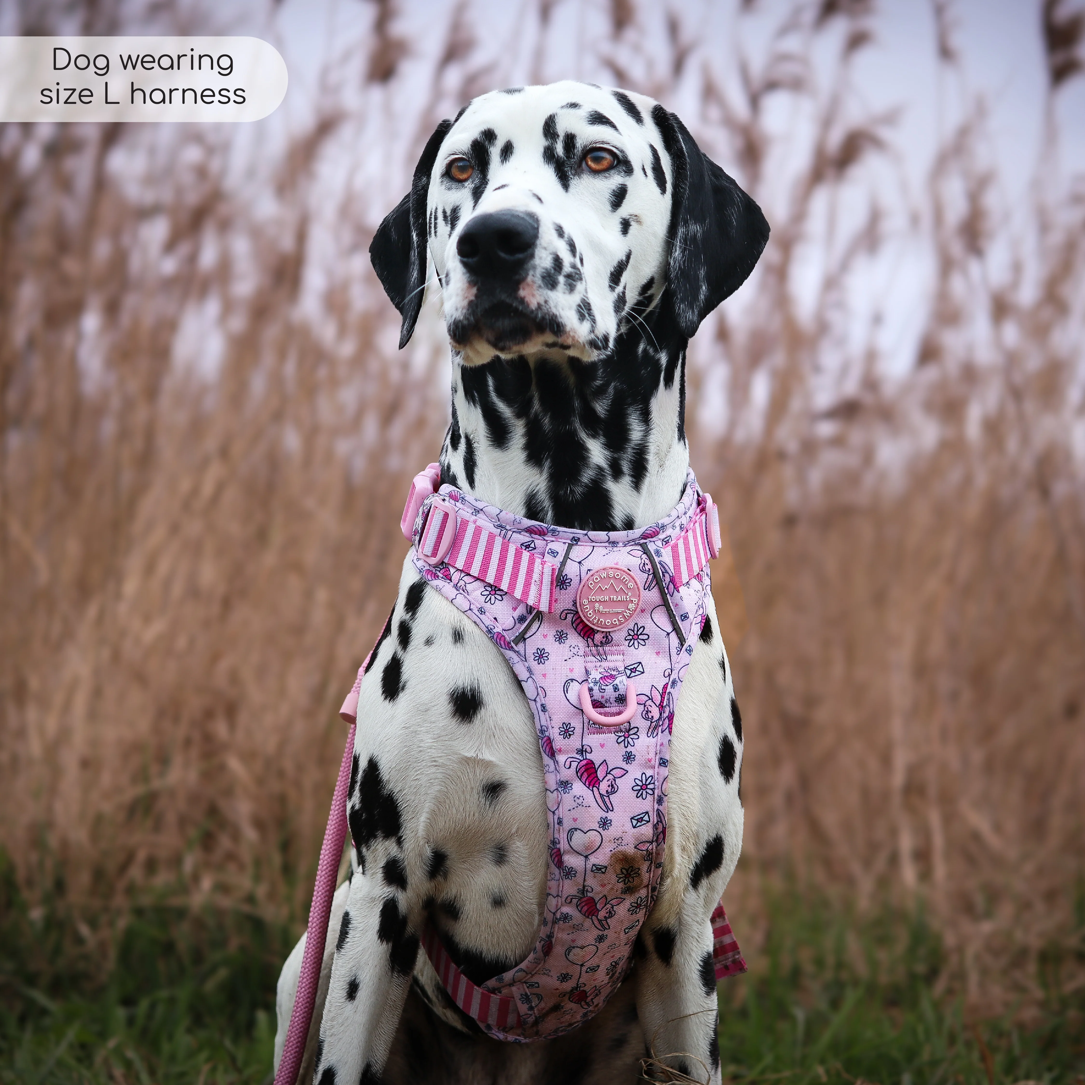 Disney© Tough Trails™ Harness - Piglet - Image 28