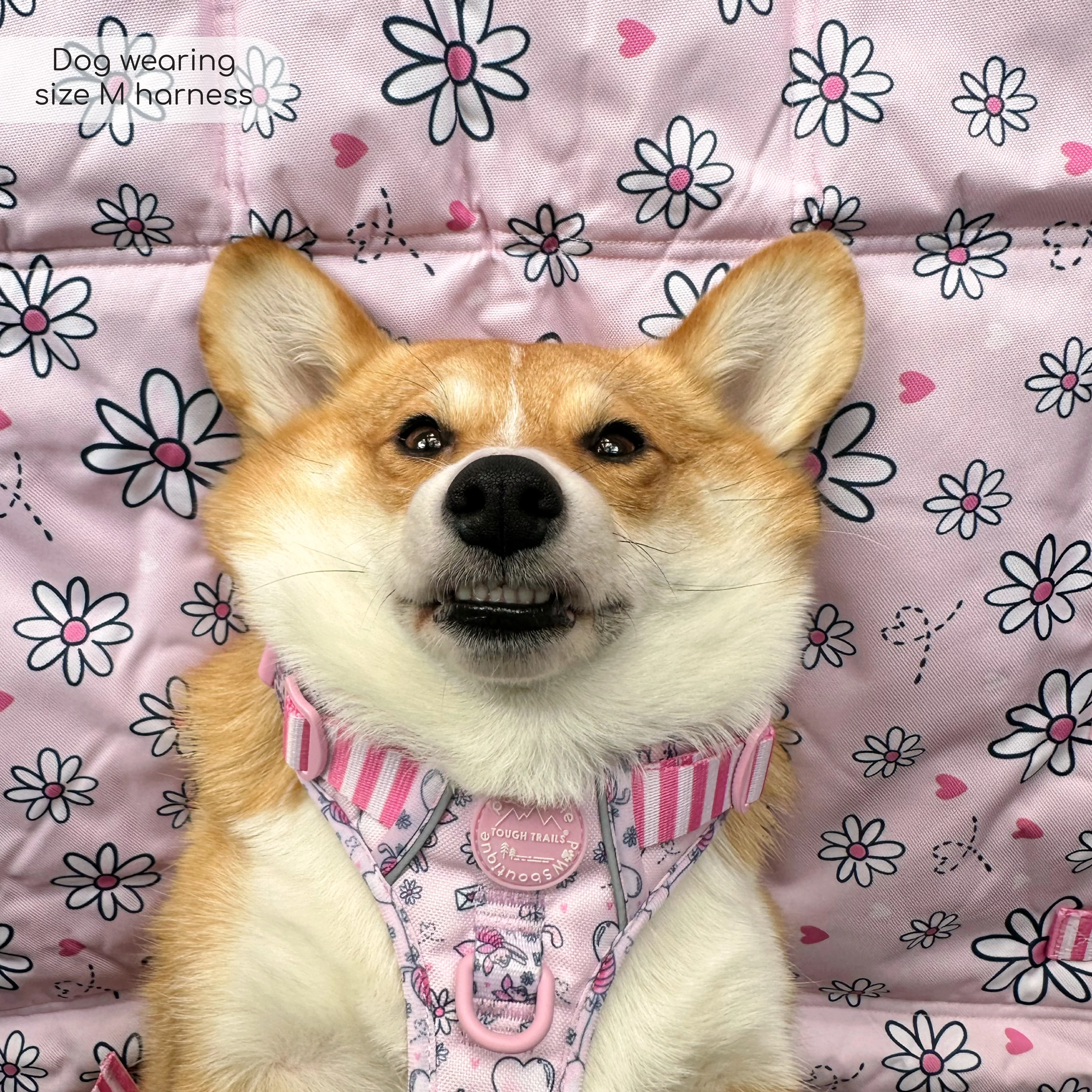Disney© Tough Trails™ Harness - Piglet - Image 32