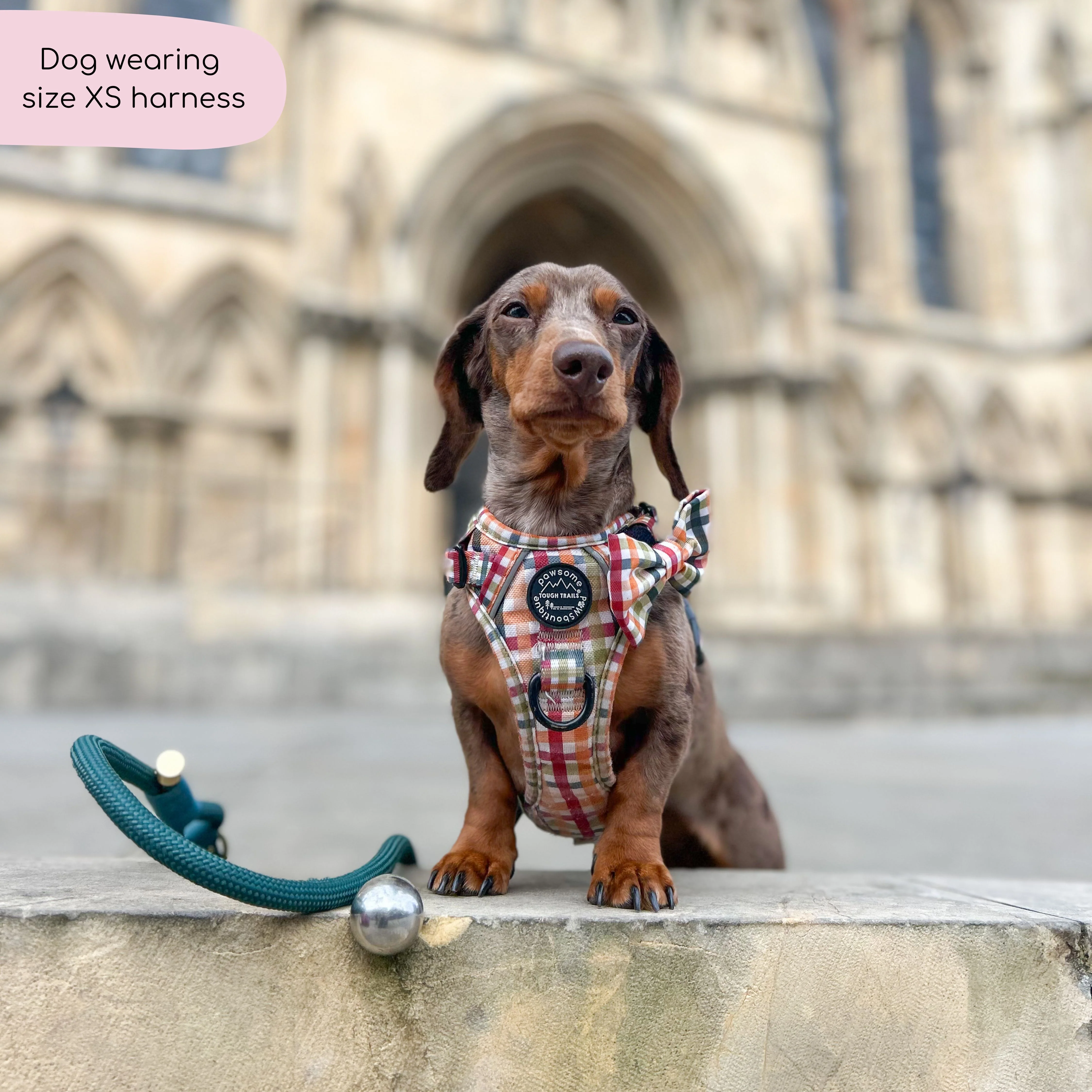 Tough Trails⢠Harness - Plaid Pup - Image 10