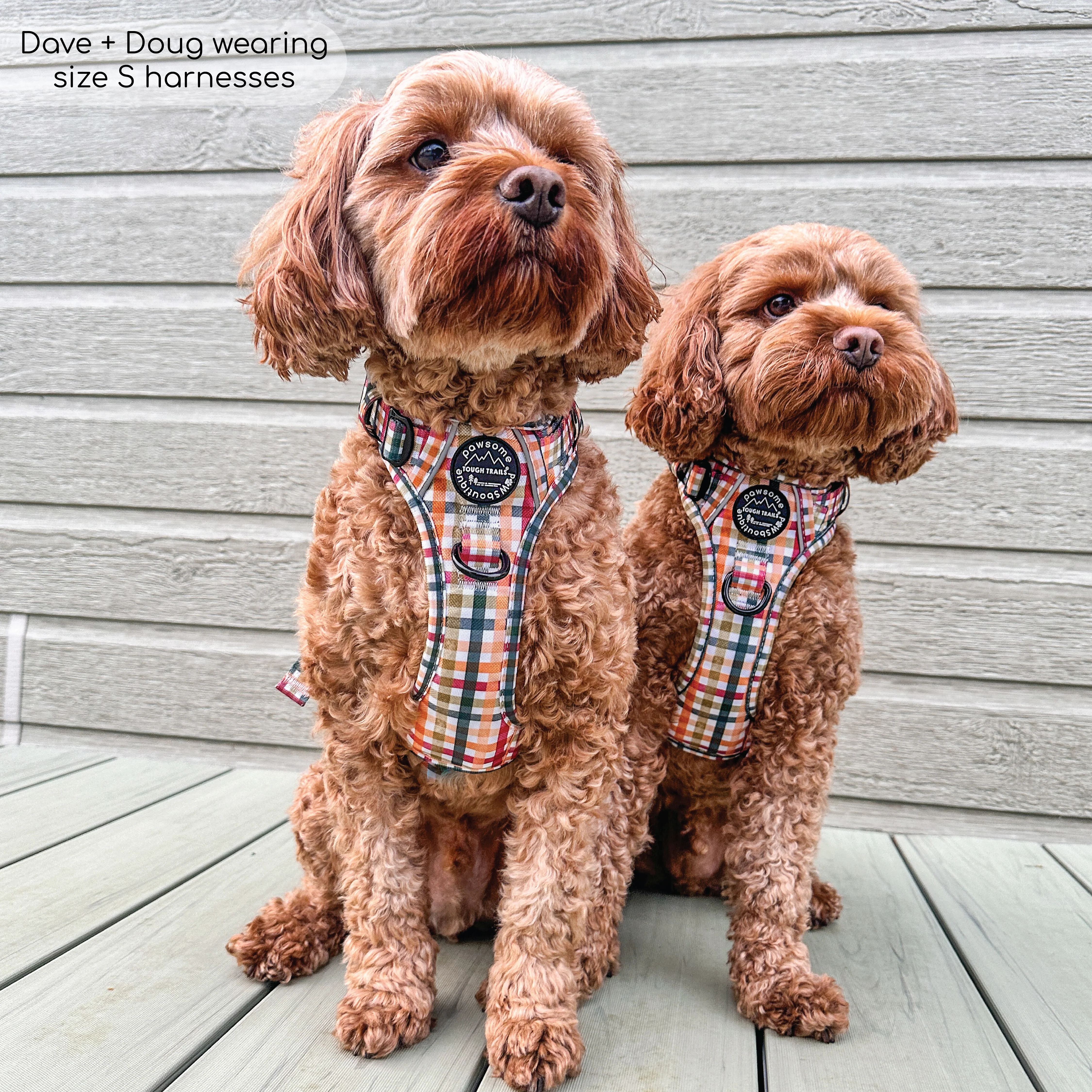 Tough Trails⢠Harness - Plaid Pup - Image 15