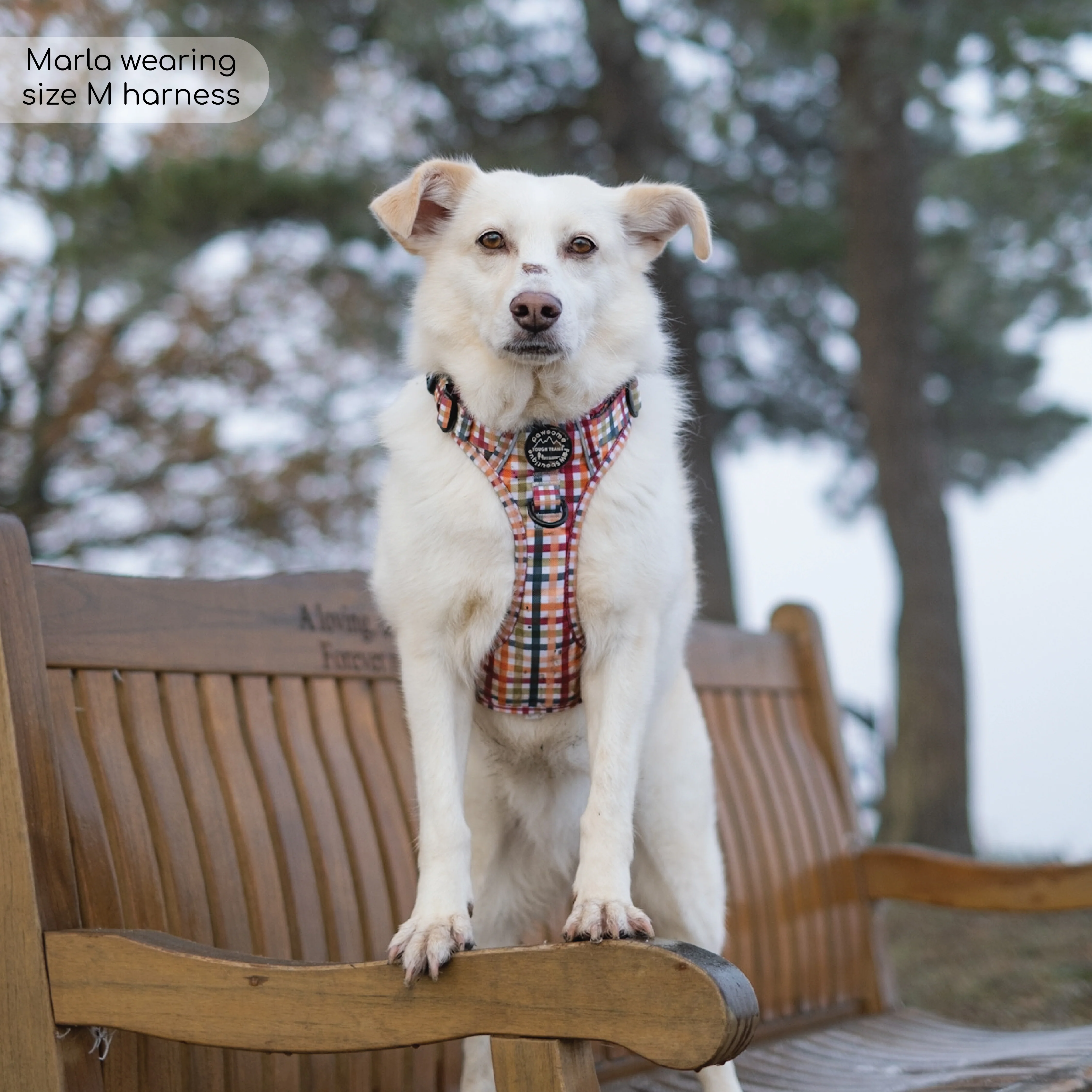 Tough Trails⢠Harness - Plaid Pup - Image 16