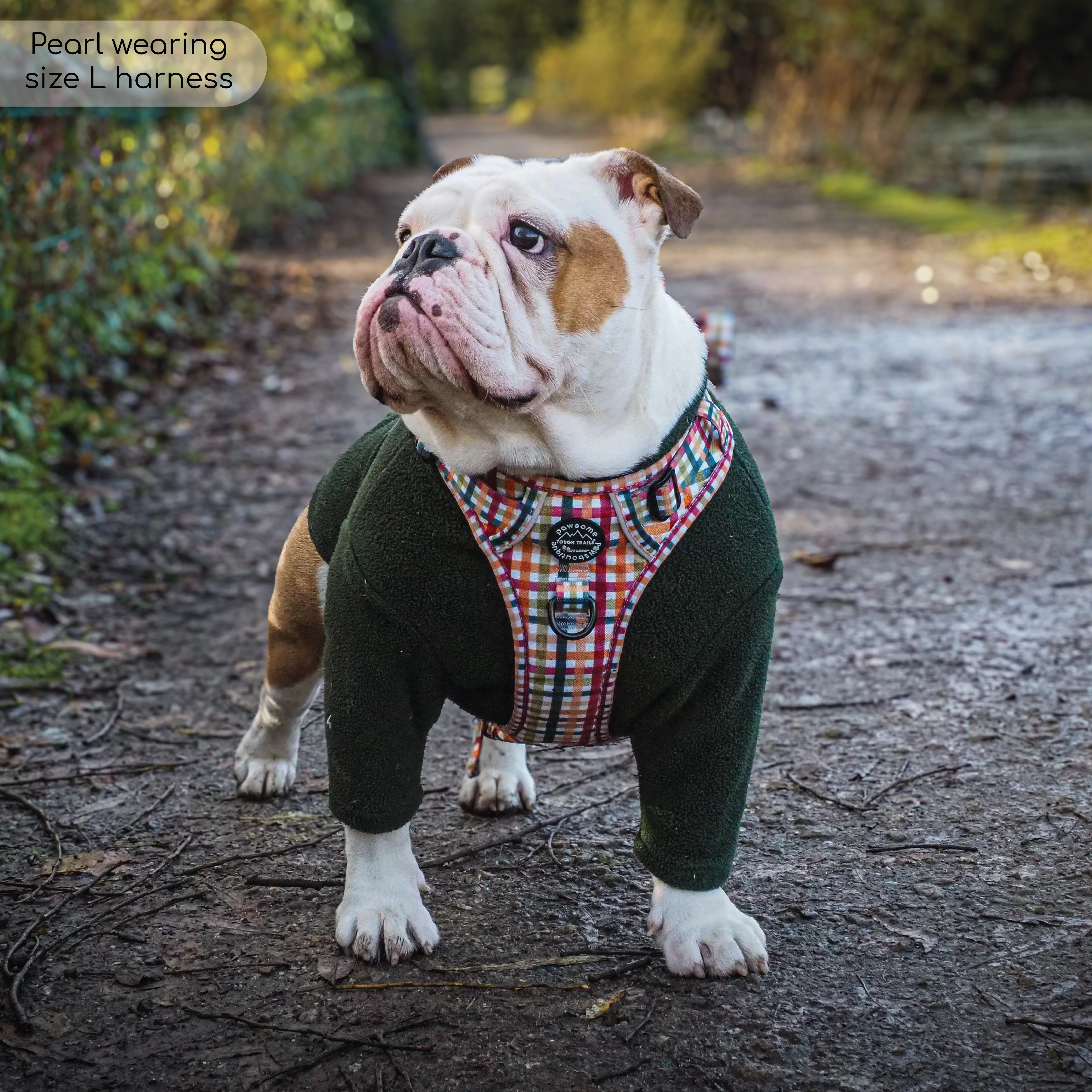 Tough Trails⢠Harness - Plaid Pup - Image 17