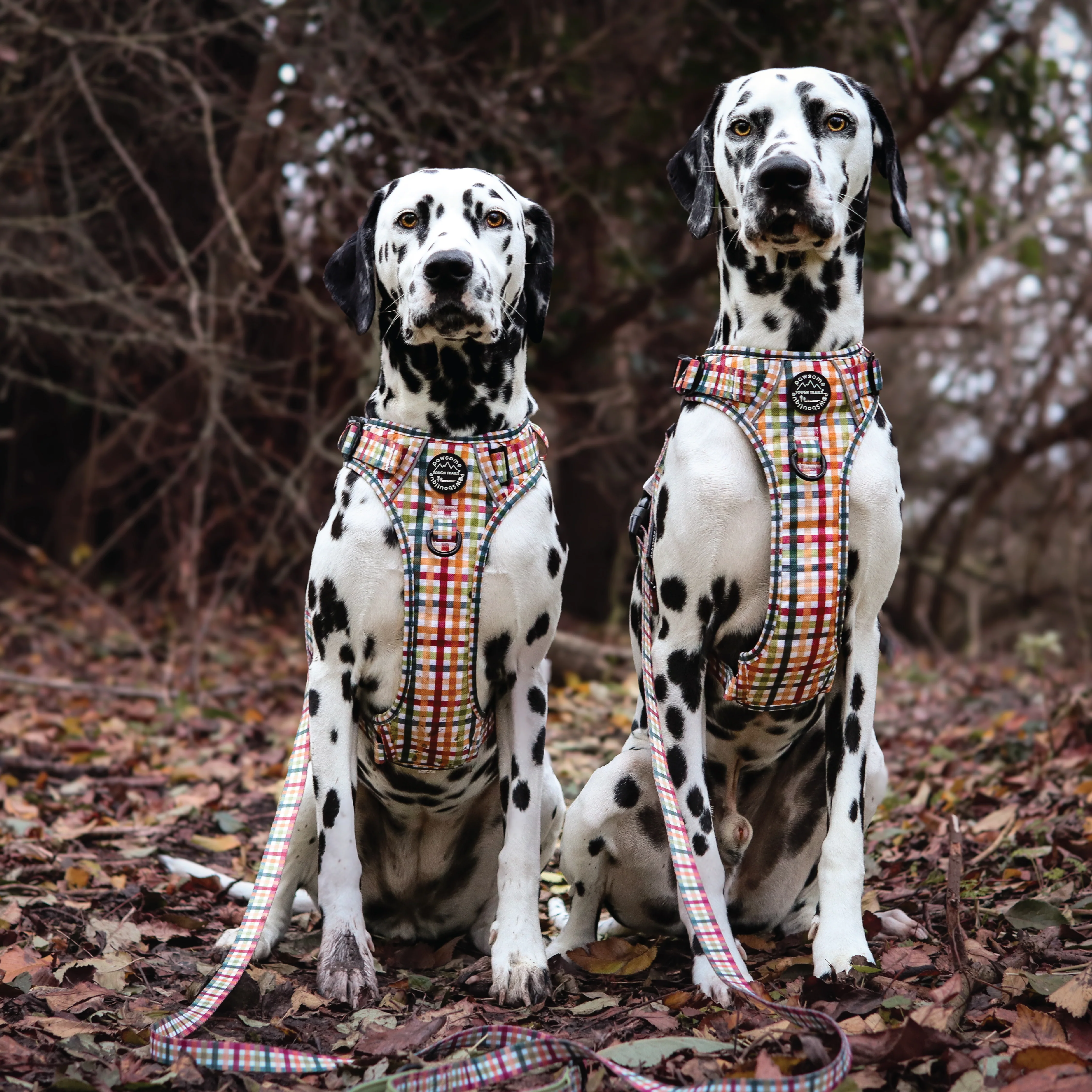 Tough Trails⢠Harness - Plaid Pup - Image 19