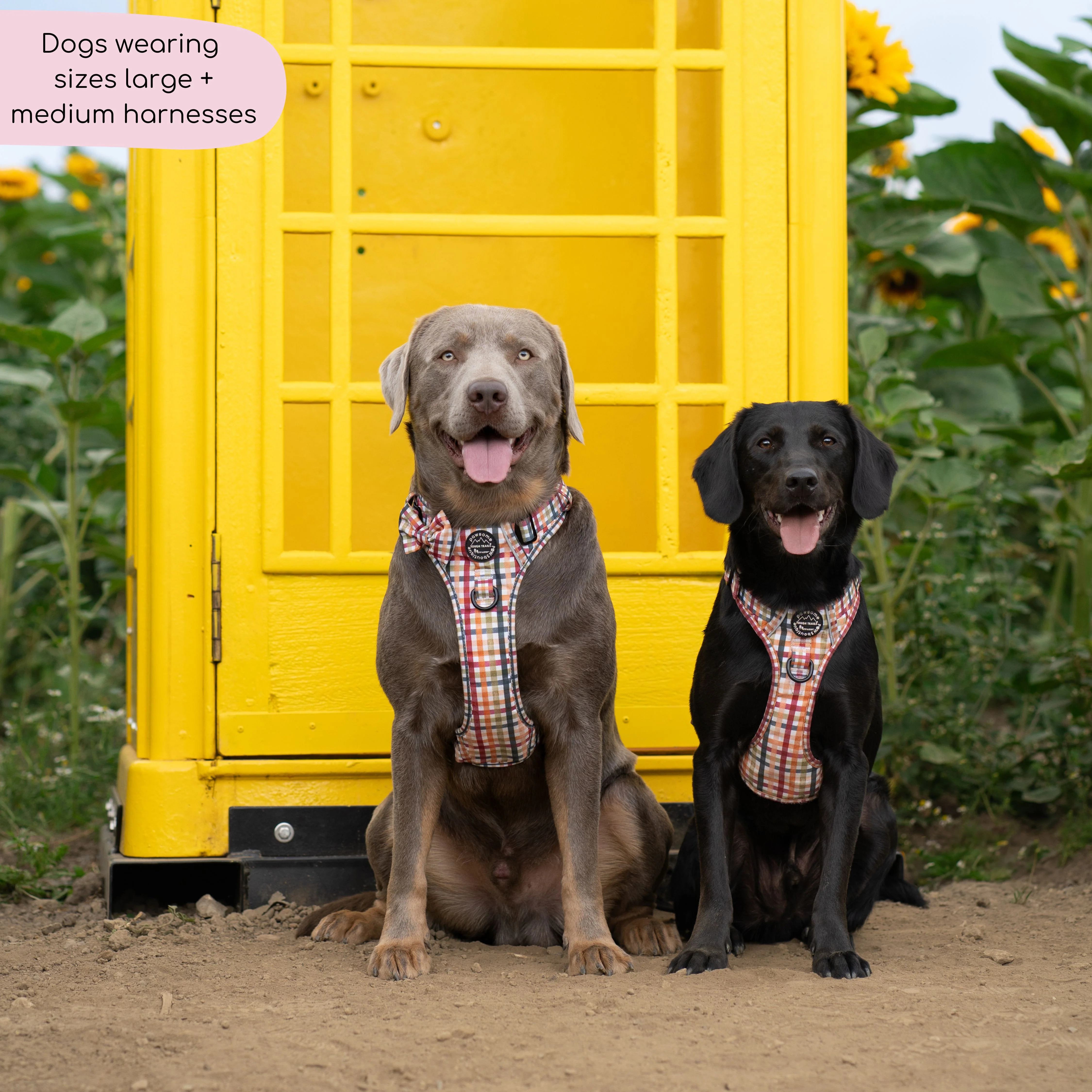 Tough Trails⢠Harness - Plaid Pup - Image 4