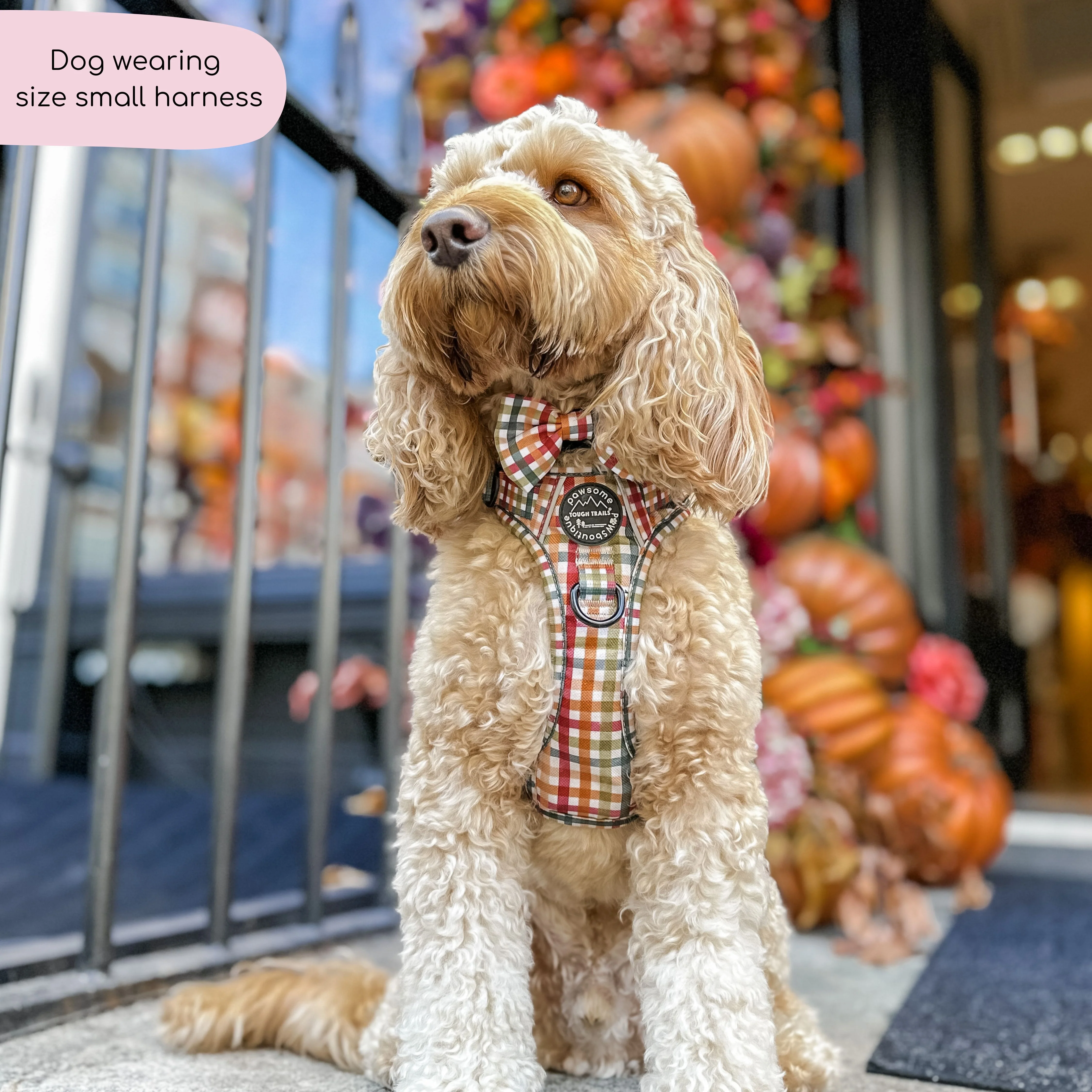 Tough Trails⢠Harness - Plaid Pup - Image 5