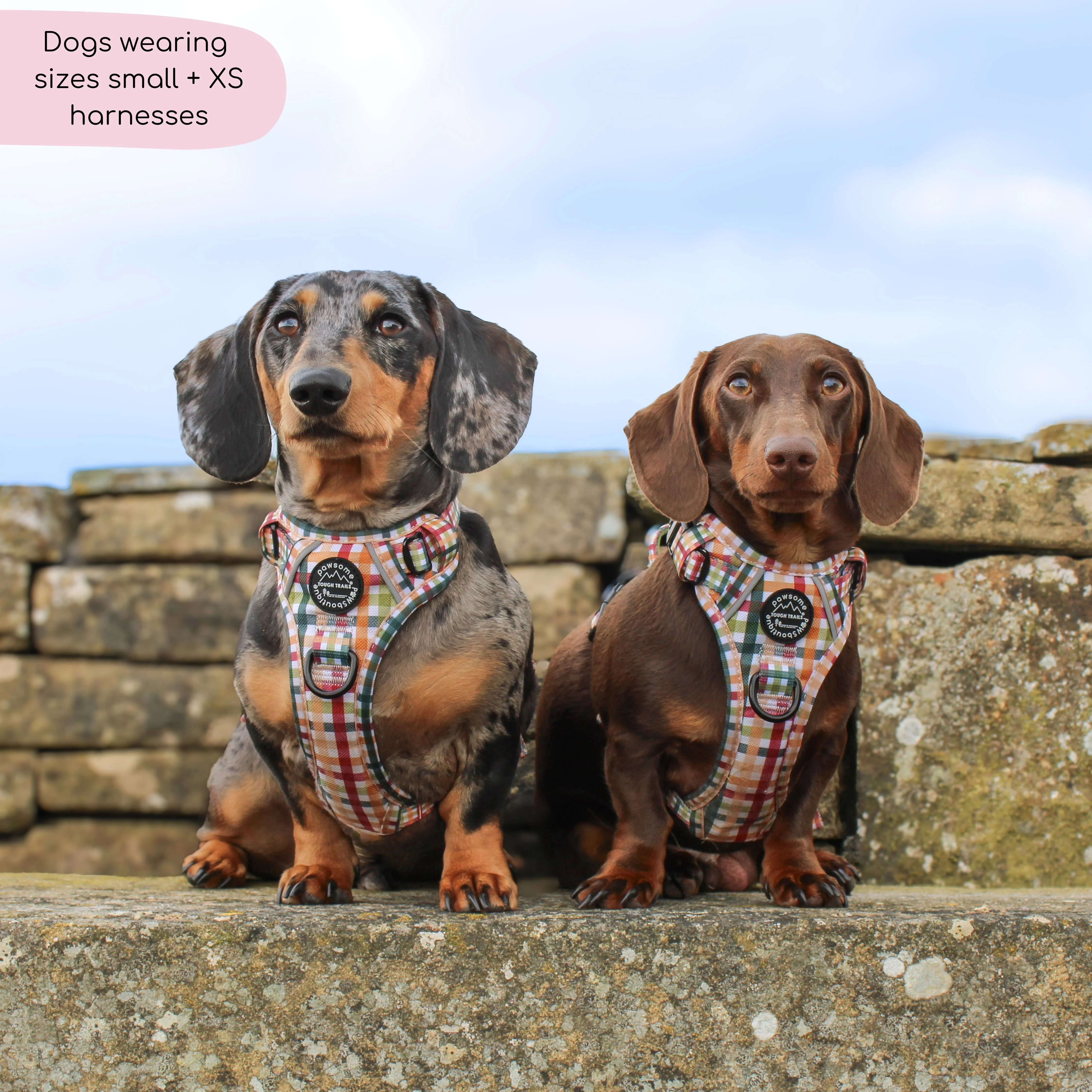 Tough Trails⢠Harness - Plaid Pup - Image 6