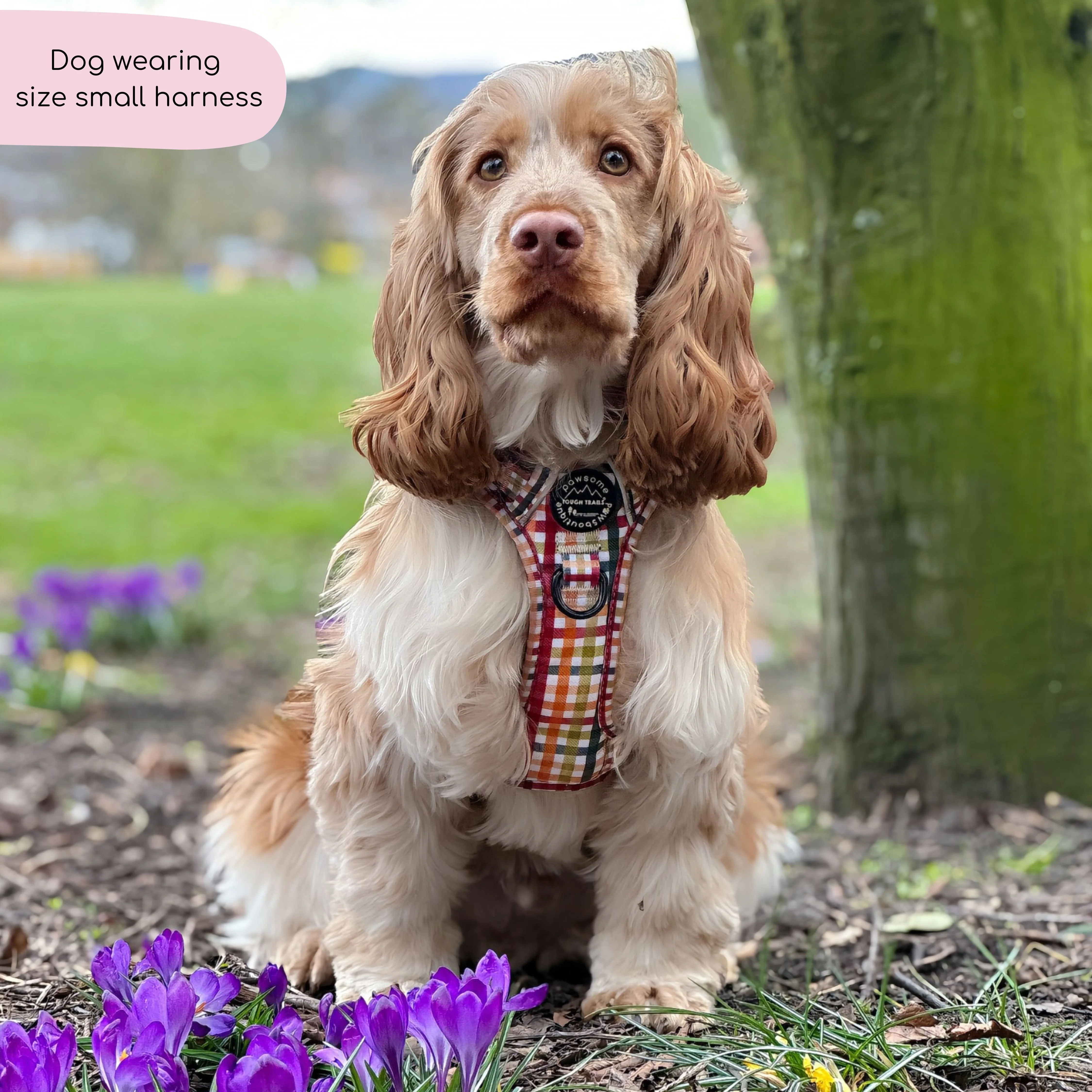 Tough Trails⢠Harness - Plaid Pup - Image 7