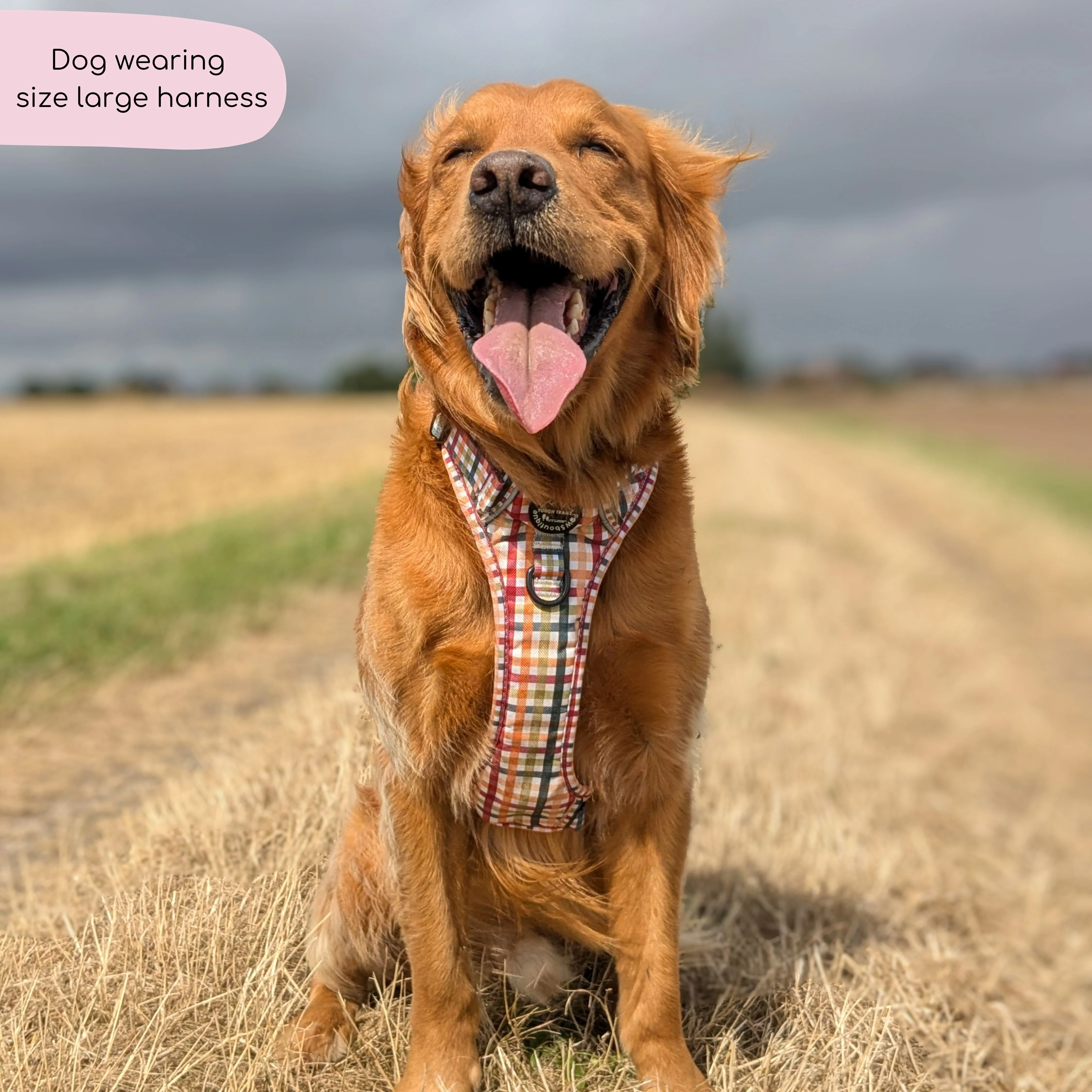 Tough Trails⢠Harness - Plaid Pup - Image 8