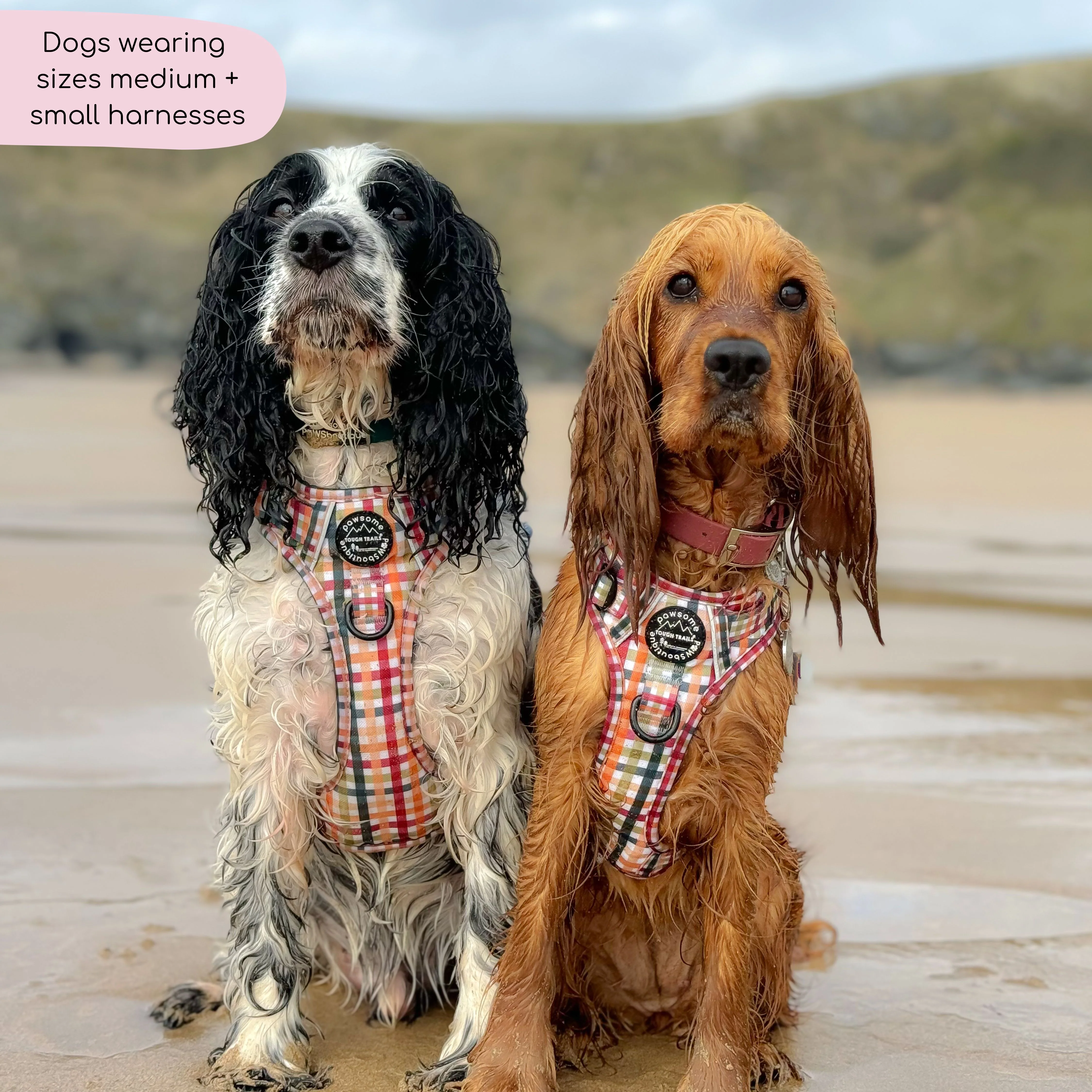 Tough Trails⢠Harness - Plaid Pup - Image 9