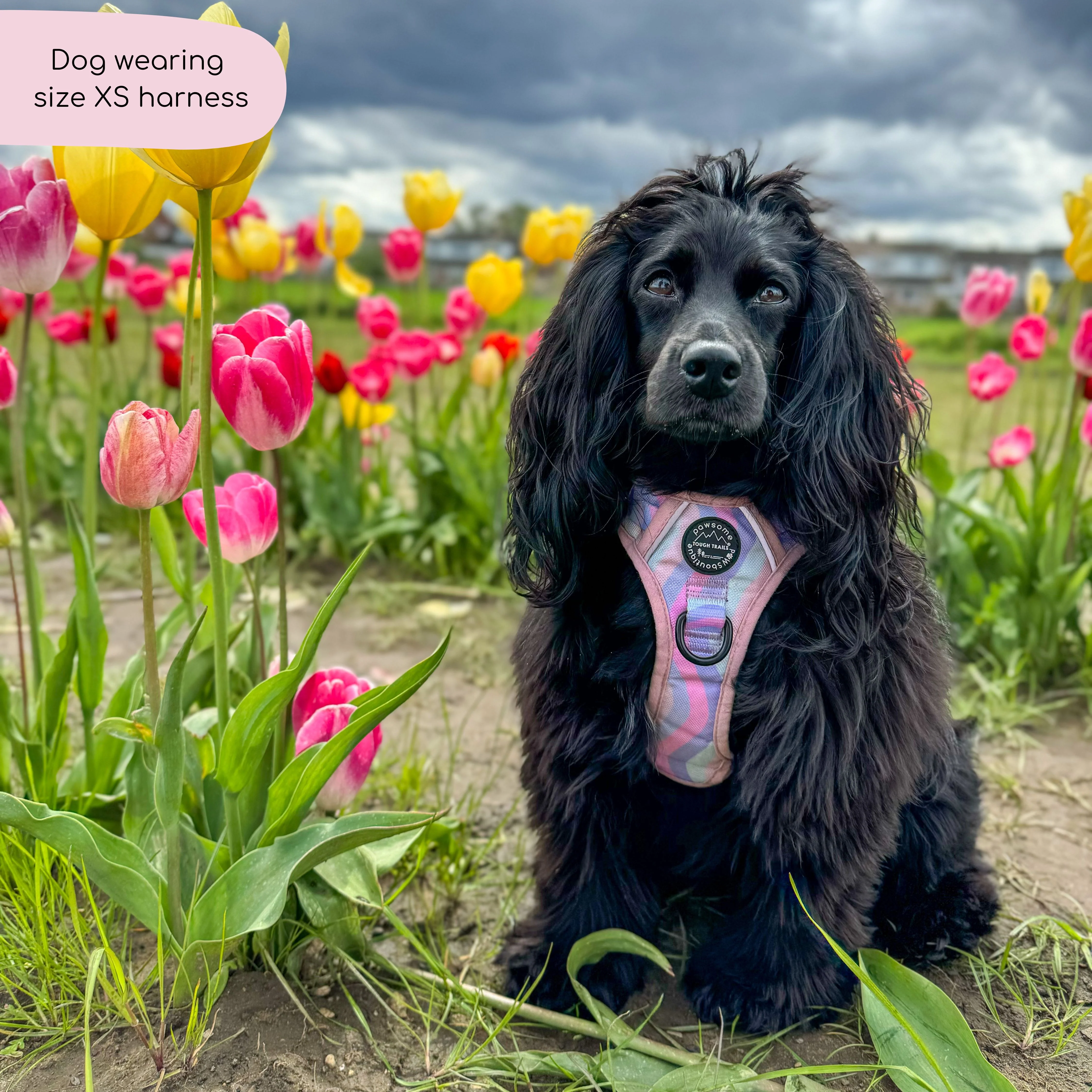 Tough Trails™ Harness - PPB Pastel Swirl - Image 10