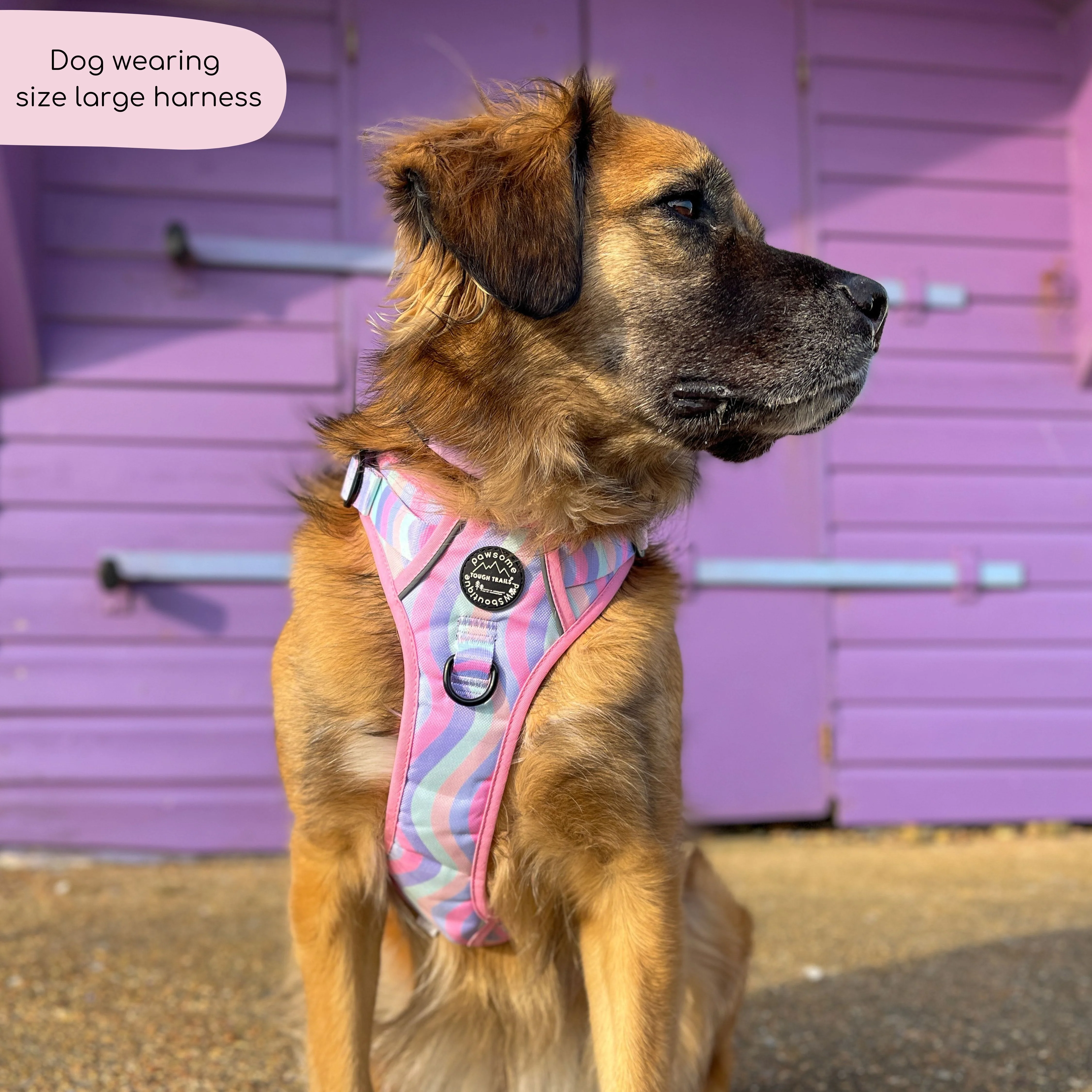 Tough Trails™ Harness - PPB Pastel Swirl - Image 11