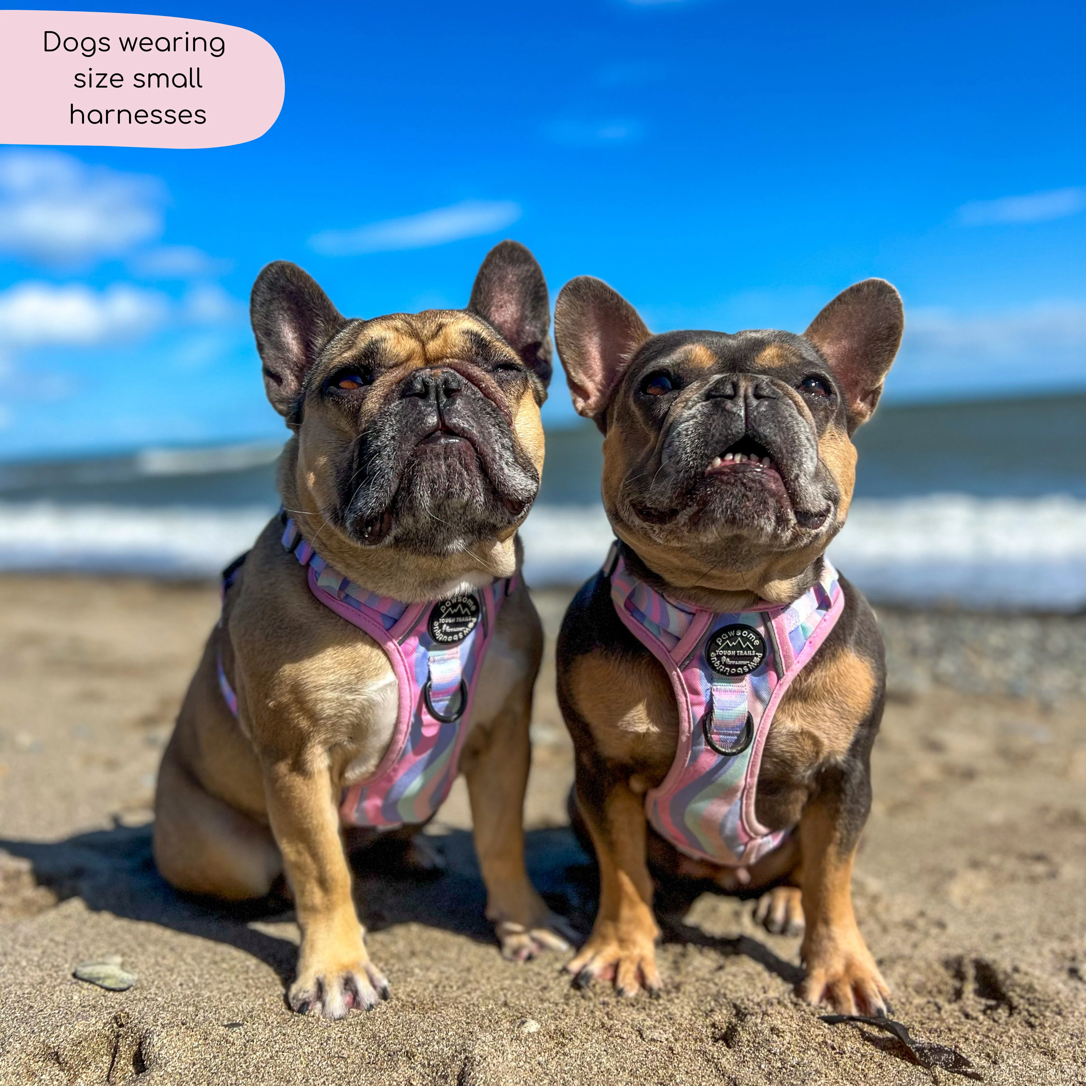 Tough Trails™ Harness - PPB Pastel Swirl - Image 12