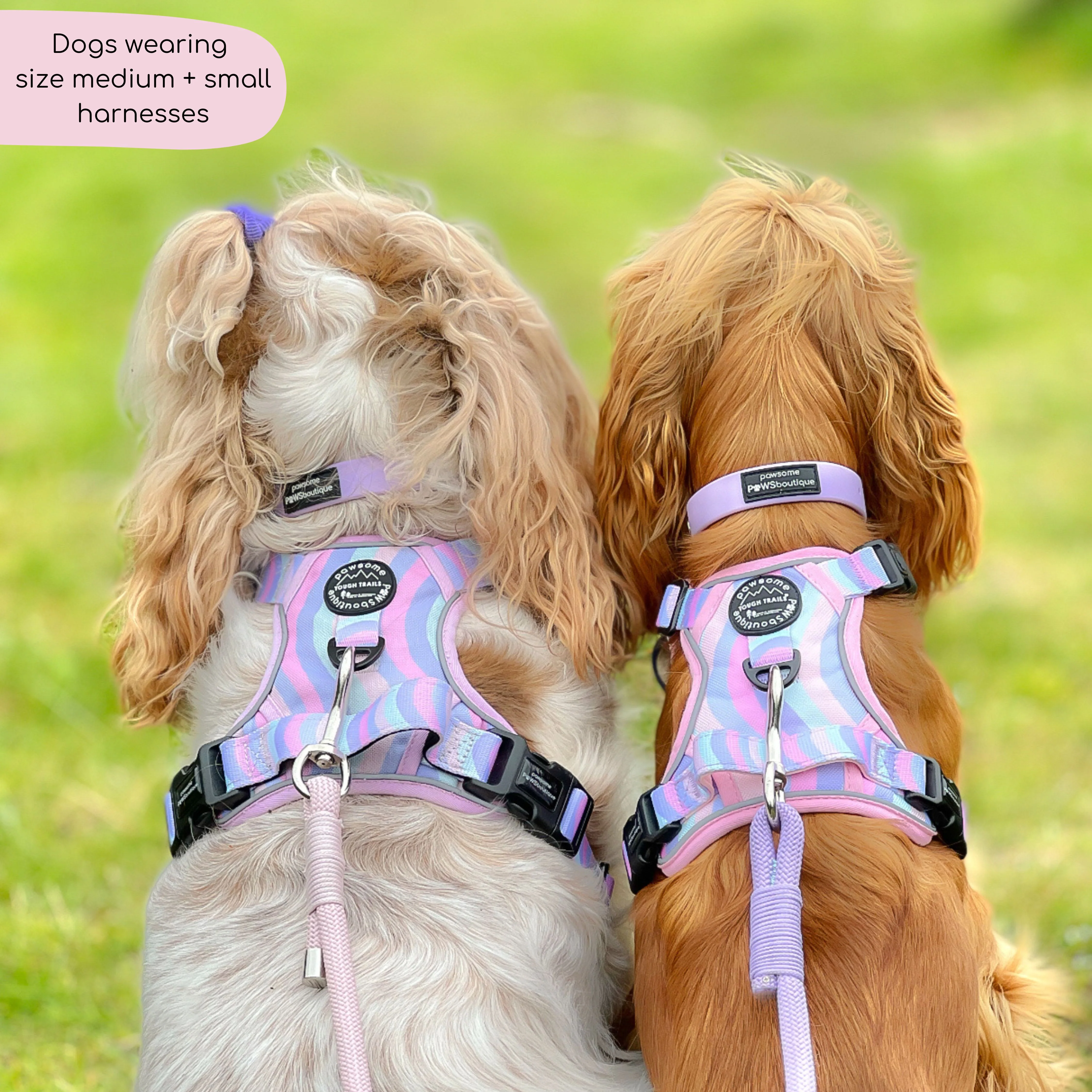 Tough Trails™ Harness - PPB Pastel Swirl - Image 13