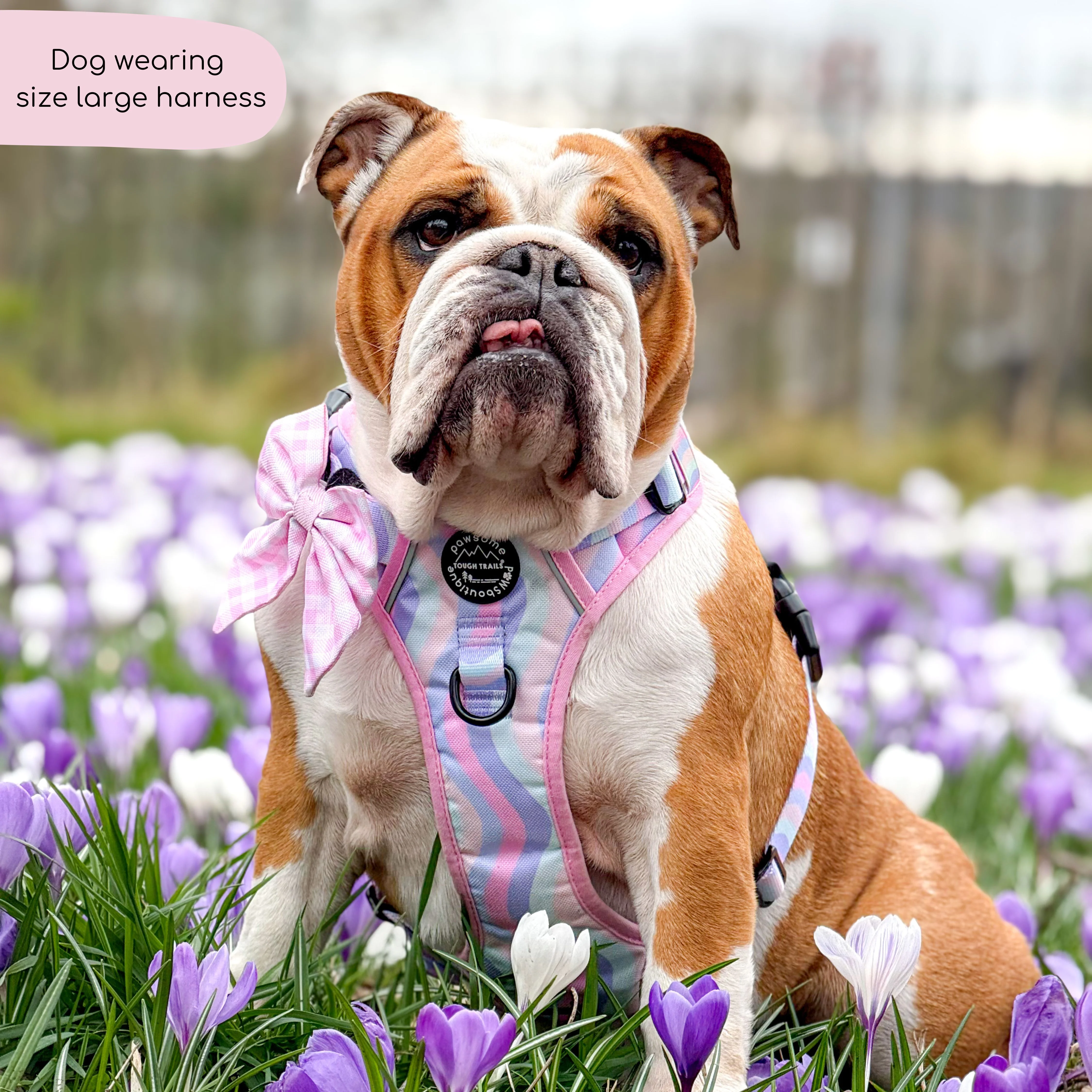 Tough Trails™ Harness - PPB Pastel Swirl - Image 3