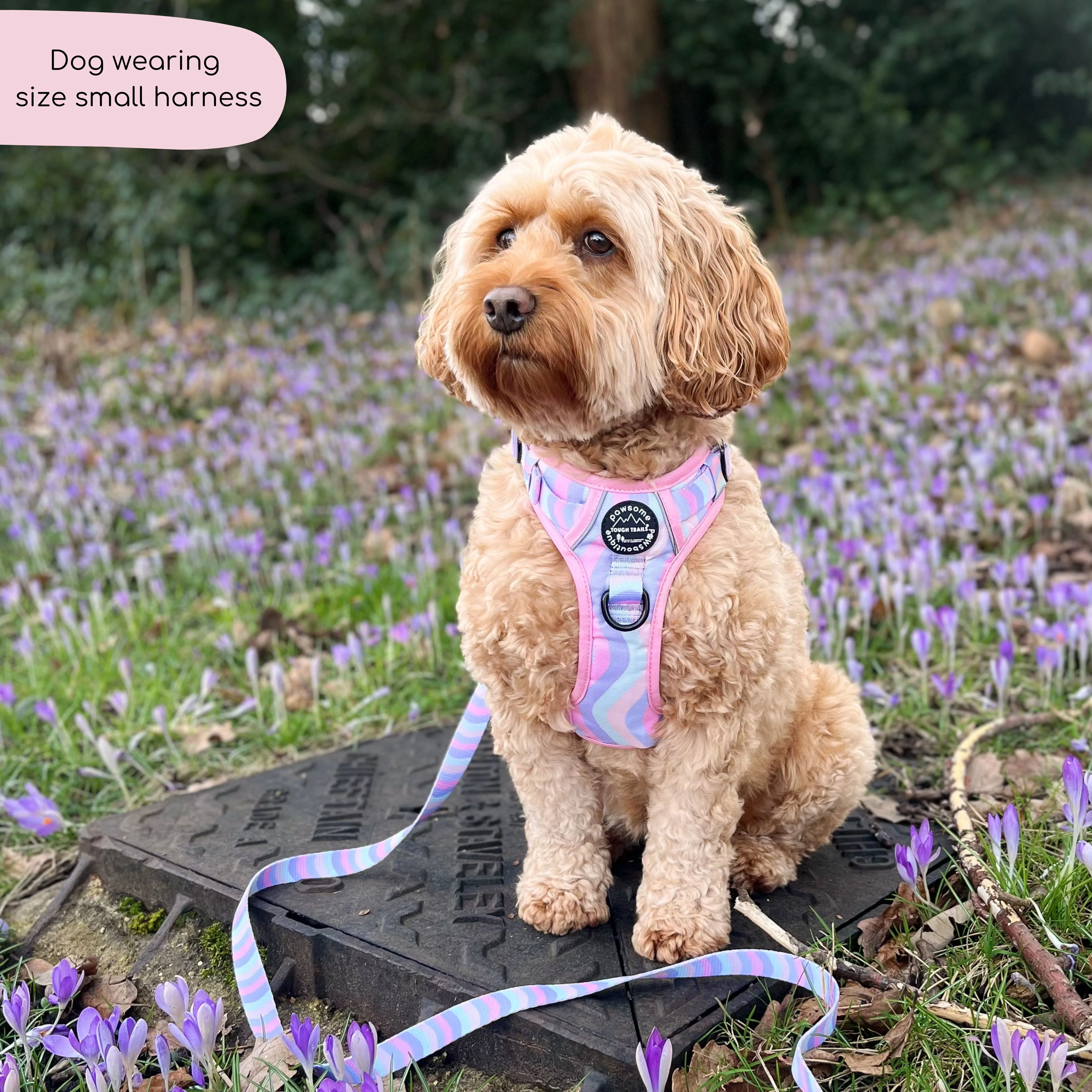 Tough Trails™ Harness - PPB Pastel Swirl - Image 5
