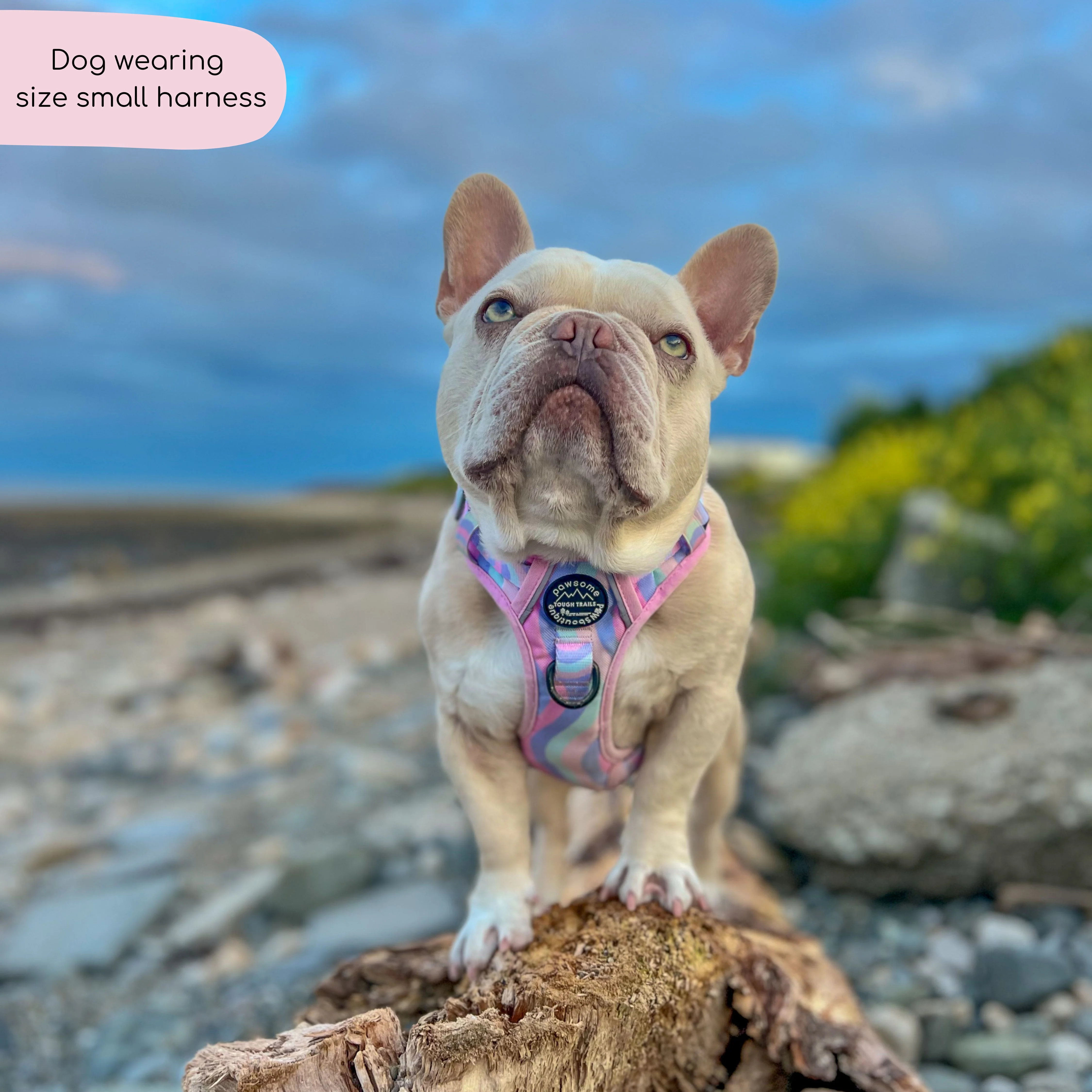 Tough Trails™ Harness - PPB Pastel Swirl - Image 7