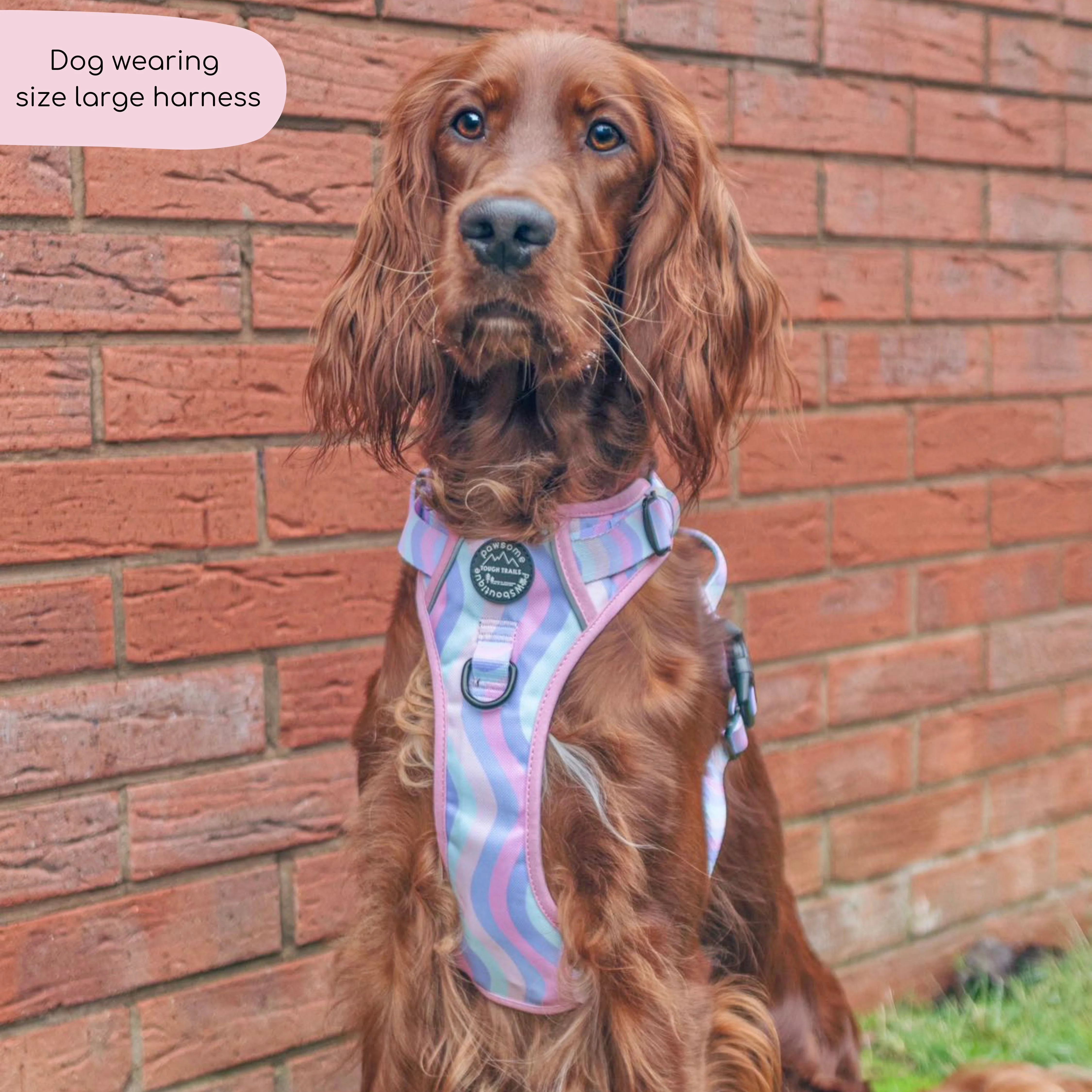 Tough Trails™ Harness - PPB Pastel Swirl - Image 8