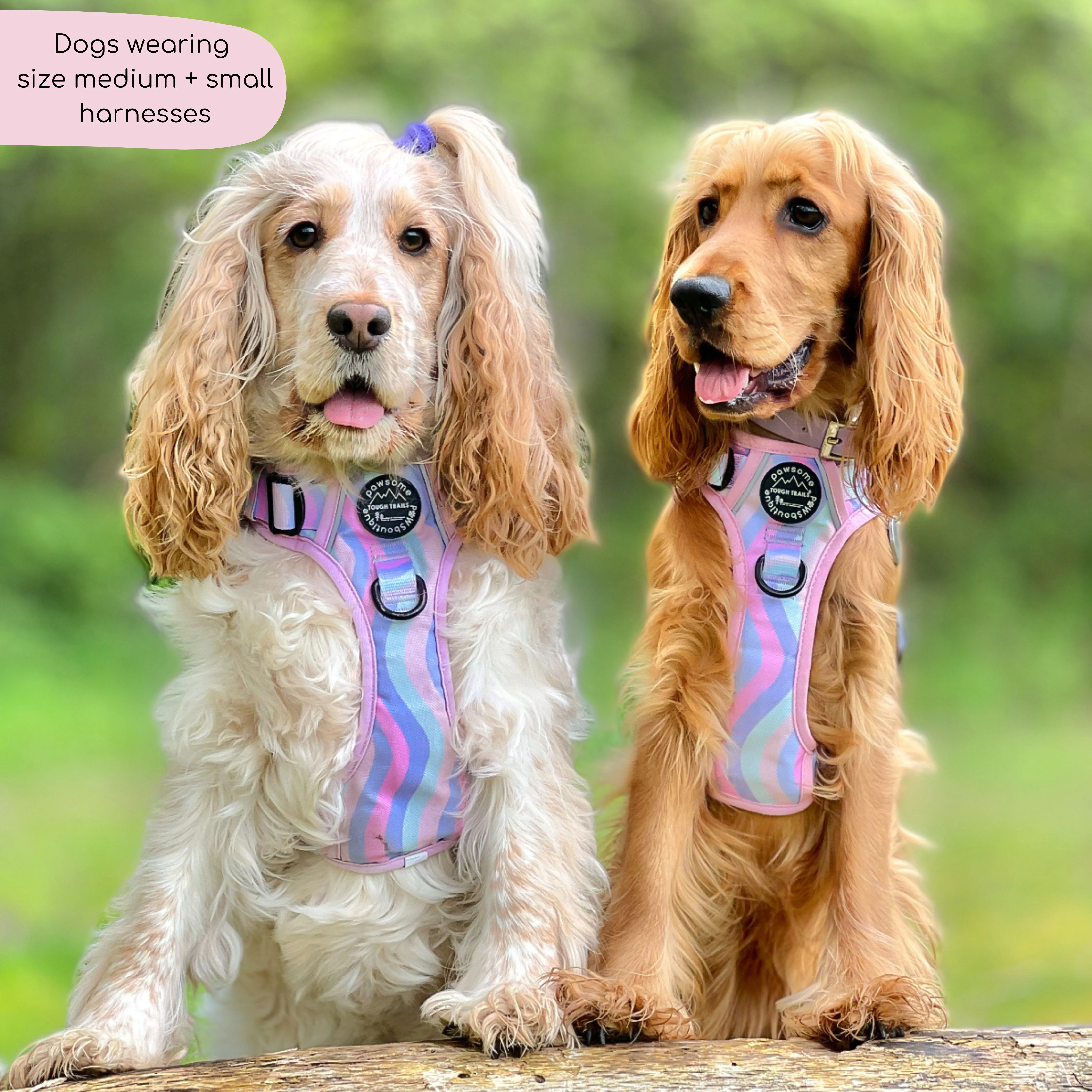 Tough Trails™ Harness - PPB Pastel Swirl - Image 9