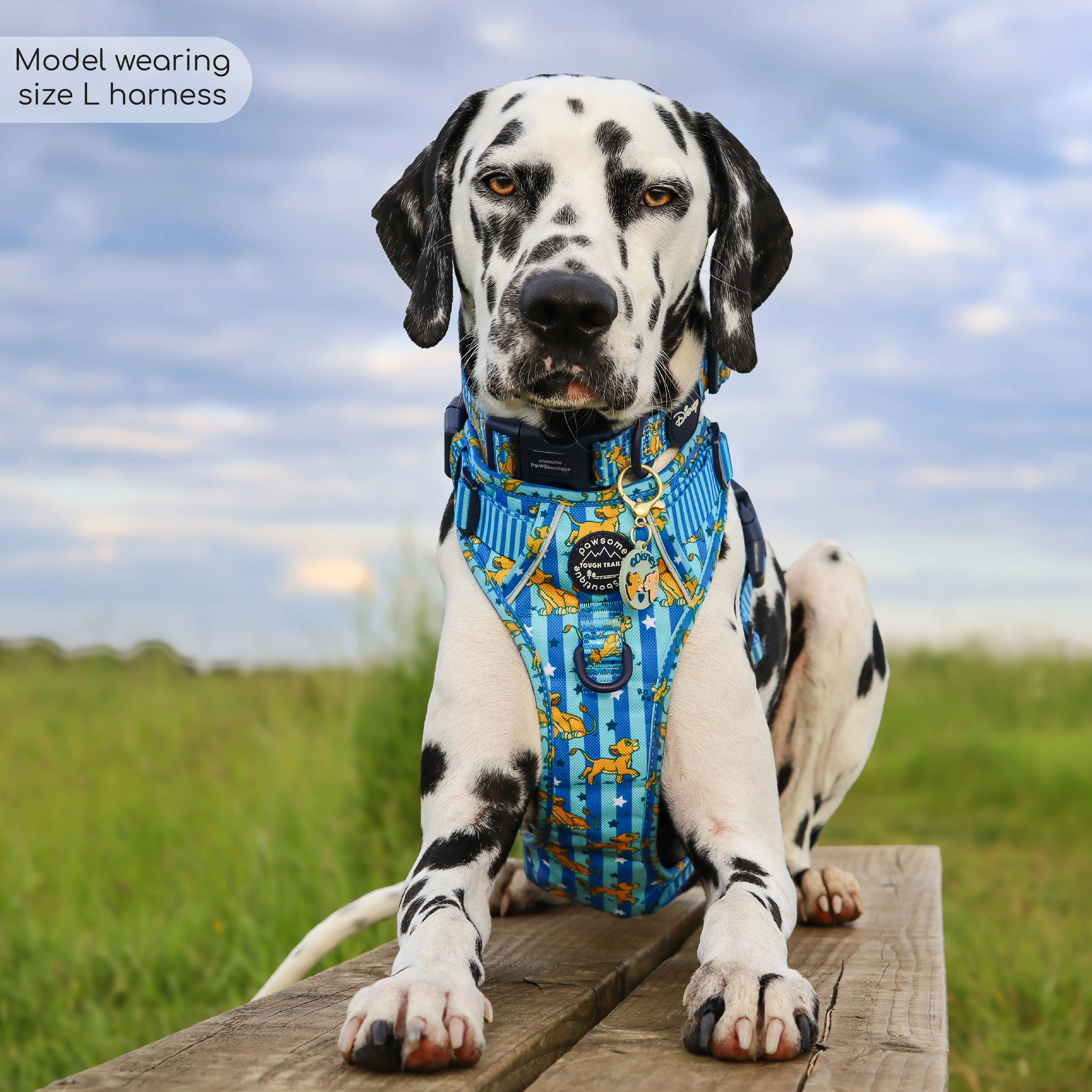Disney© Tough Trails™ Harness - Simba - Image 13