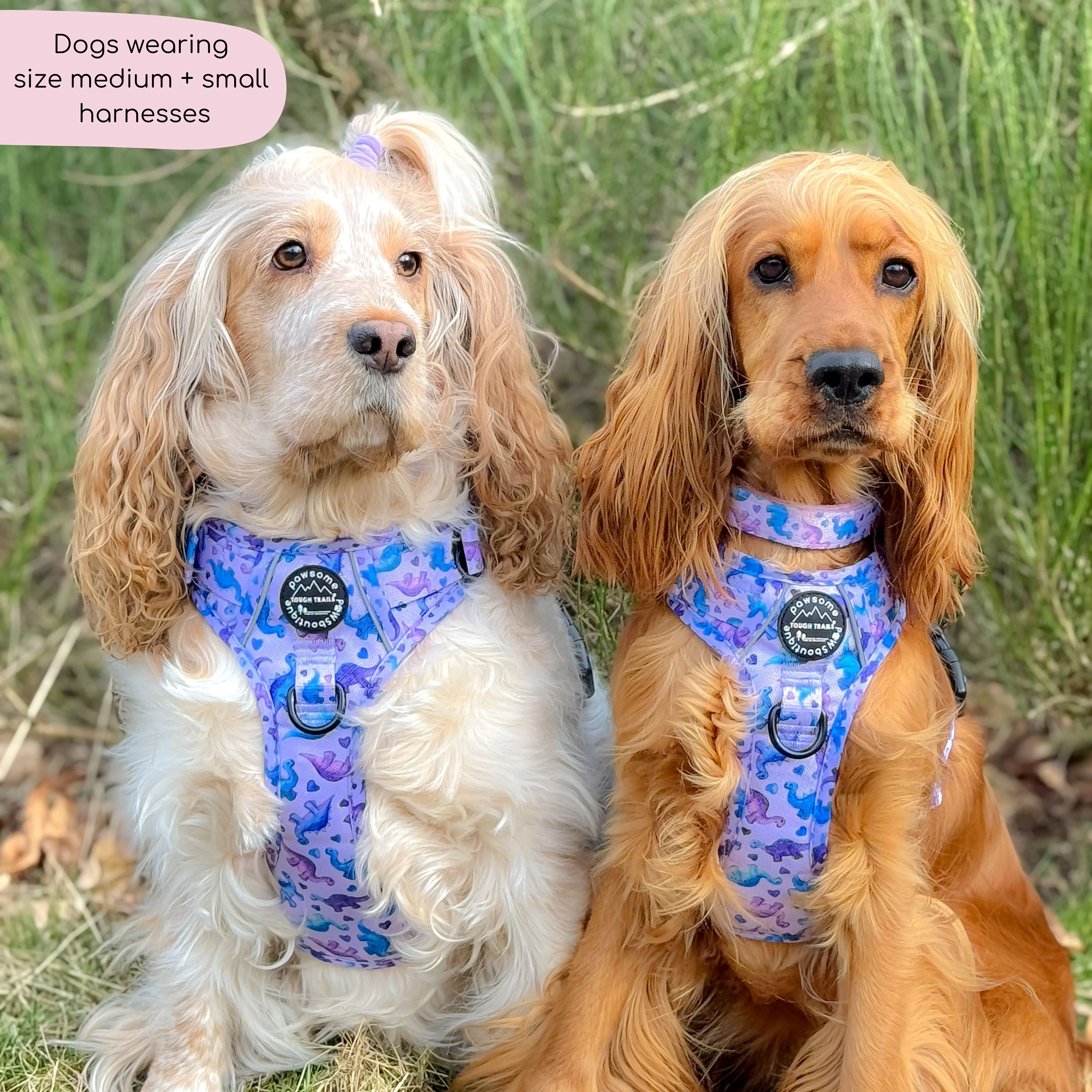 Tough Trails™ Harness - Tiny Diny - Image 10