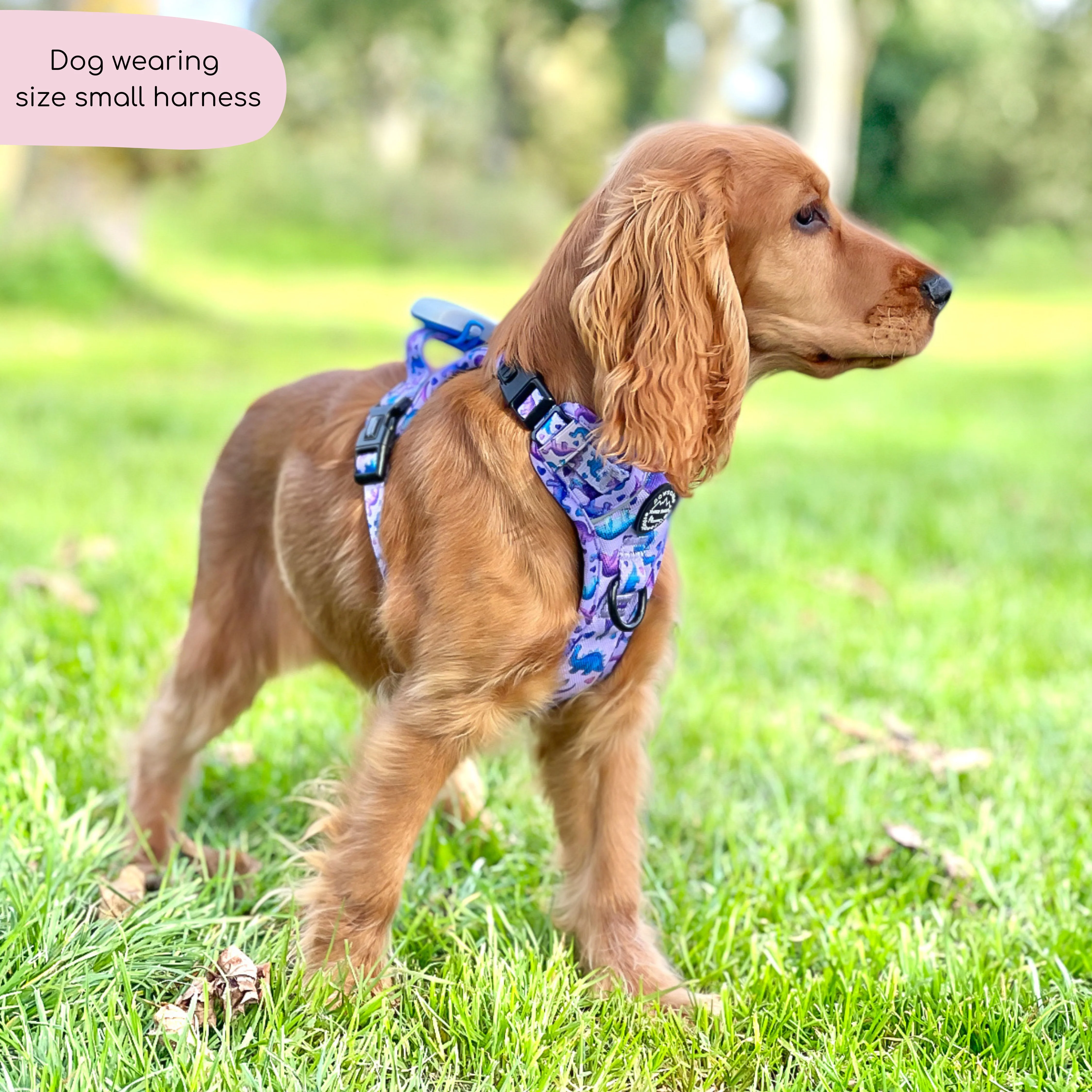 Tough Trails™ Harness - Tiny Diny - Image 13