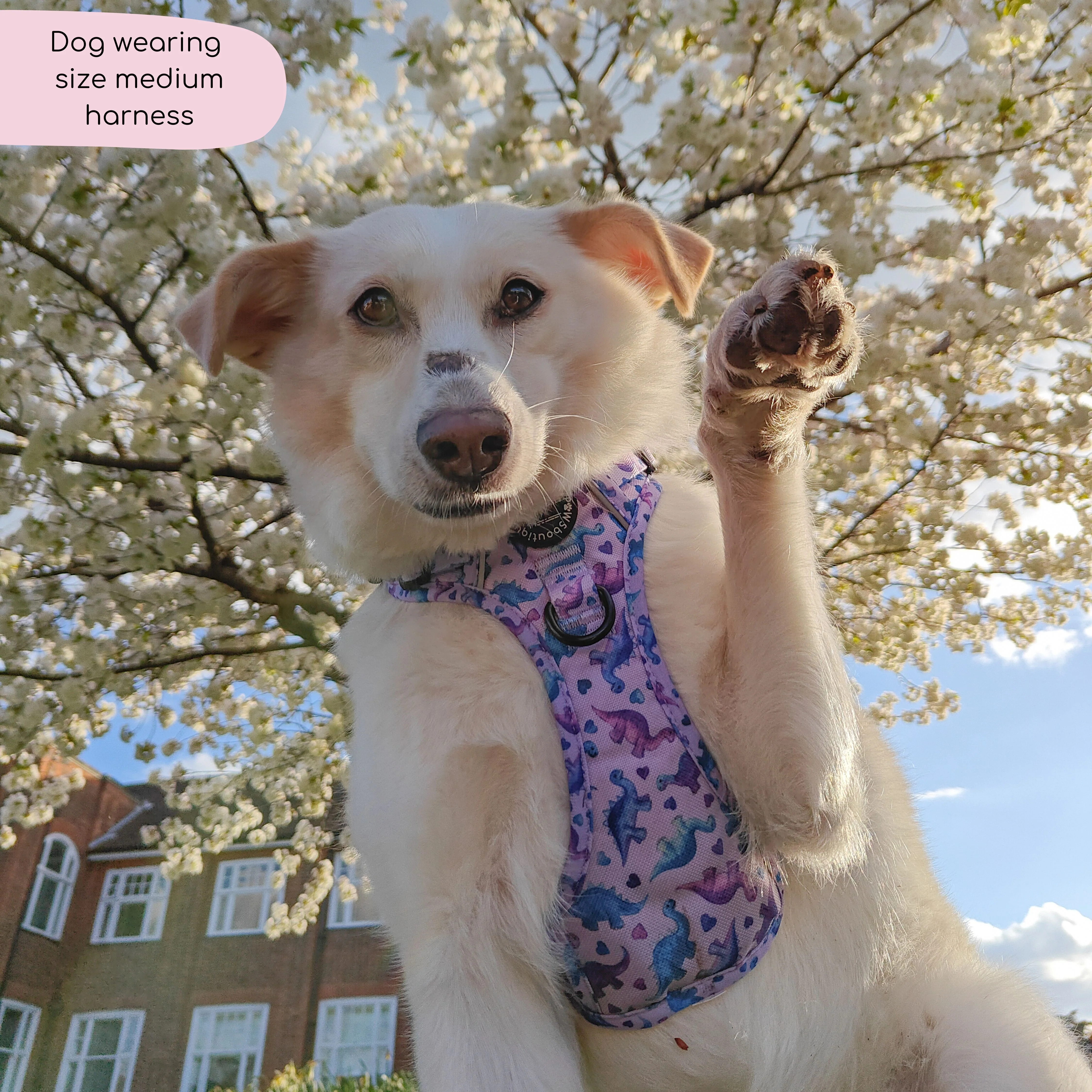 Tough Trails™ Harness - Tiny Diny - Image 14