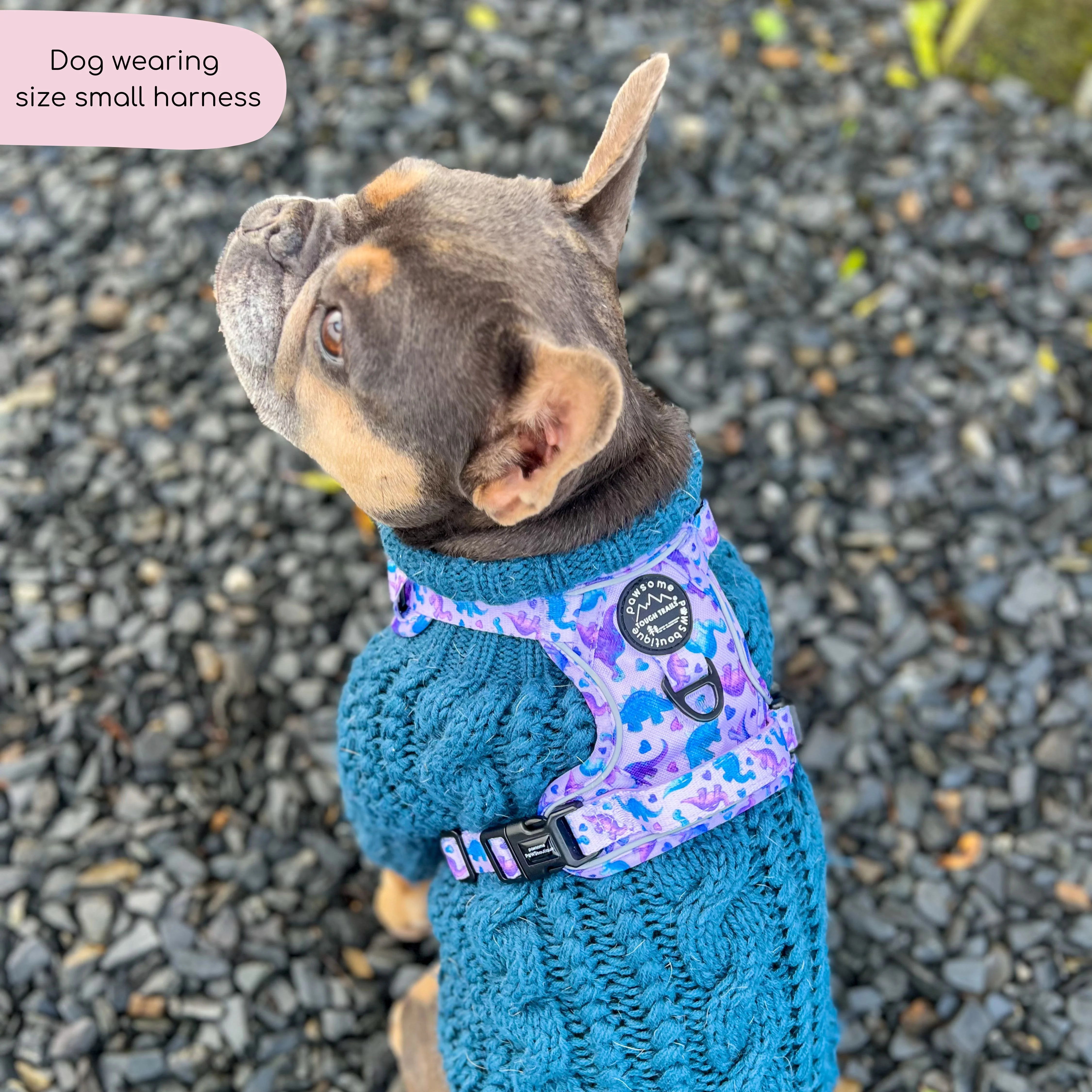 Tough Trails™ Harness - Tiny Diny - Image 15