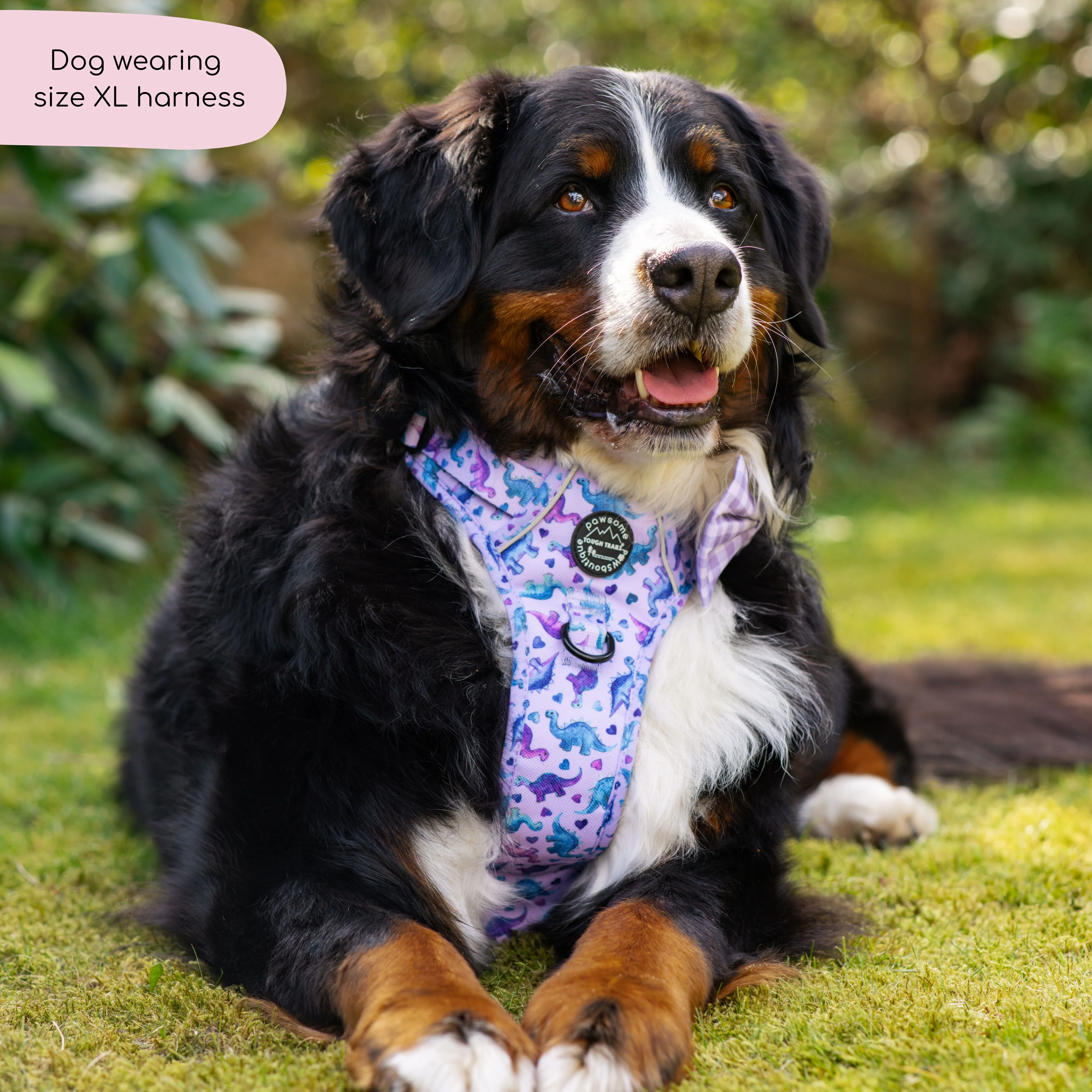 Tough Trails™ Harness - Tiny Diny - Image 4