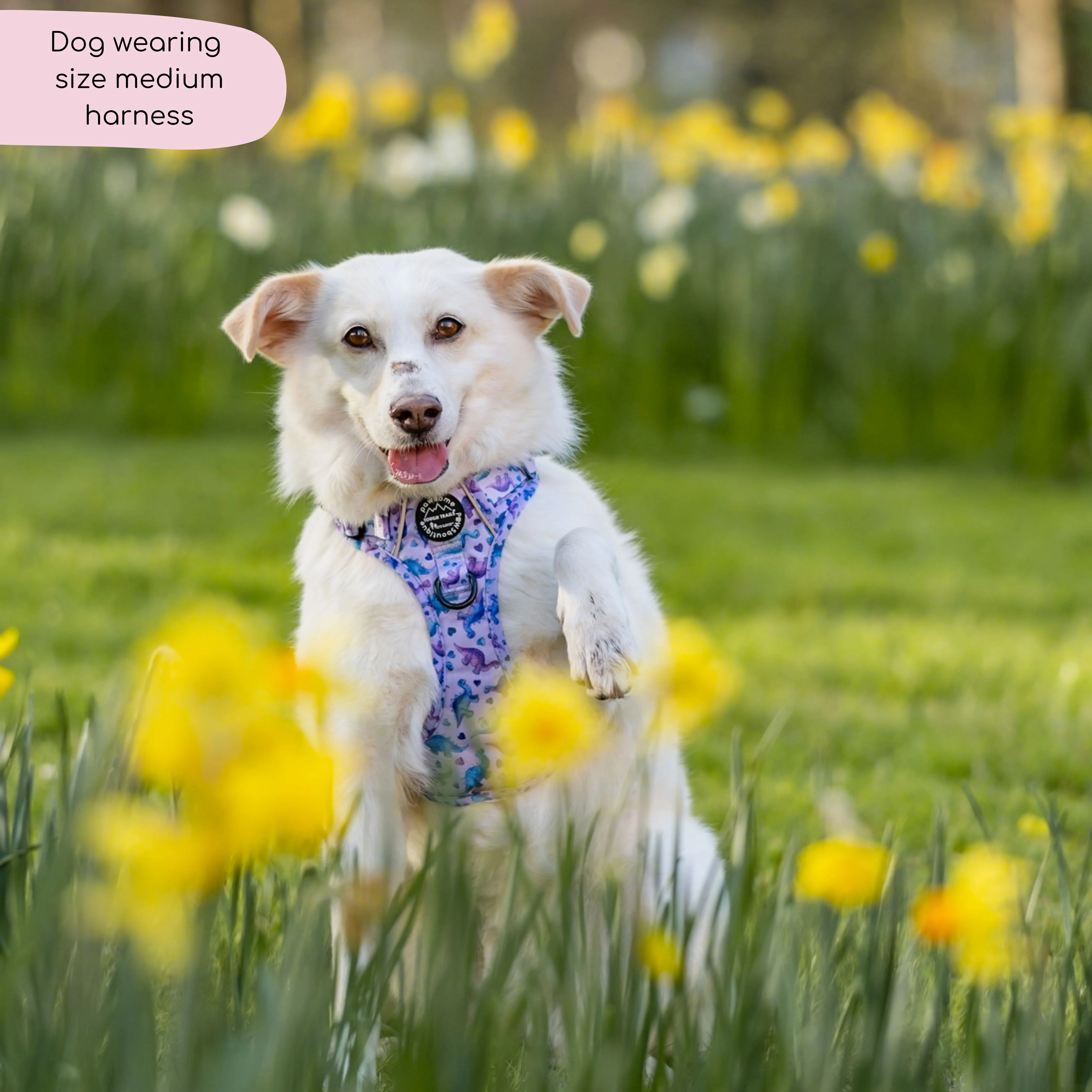 Tough Trails™ Harness - Tiny Diny - Image 5