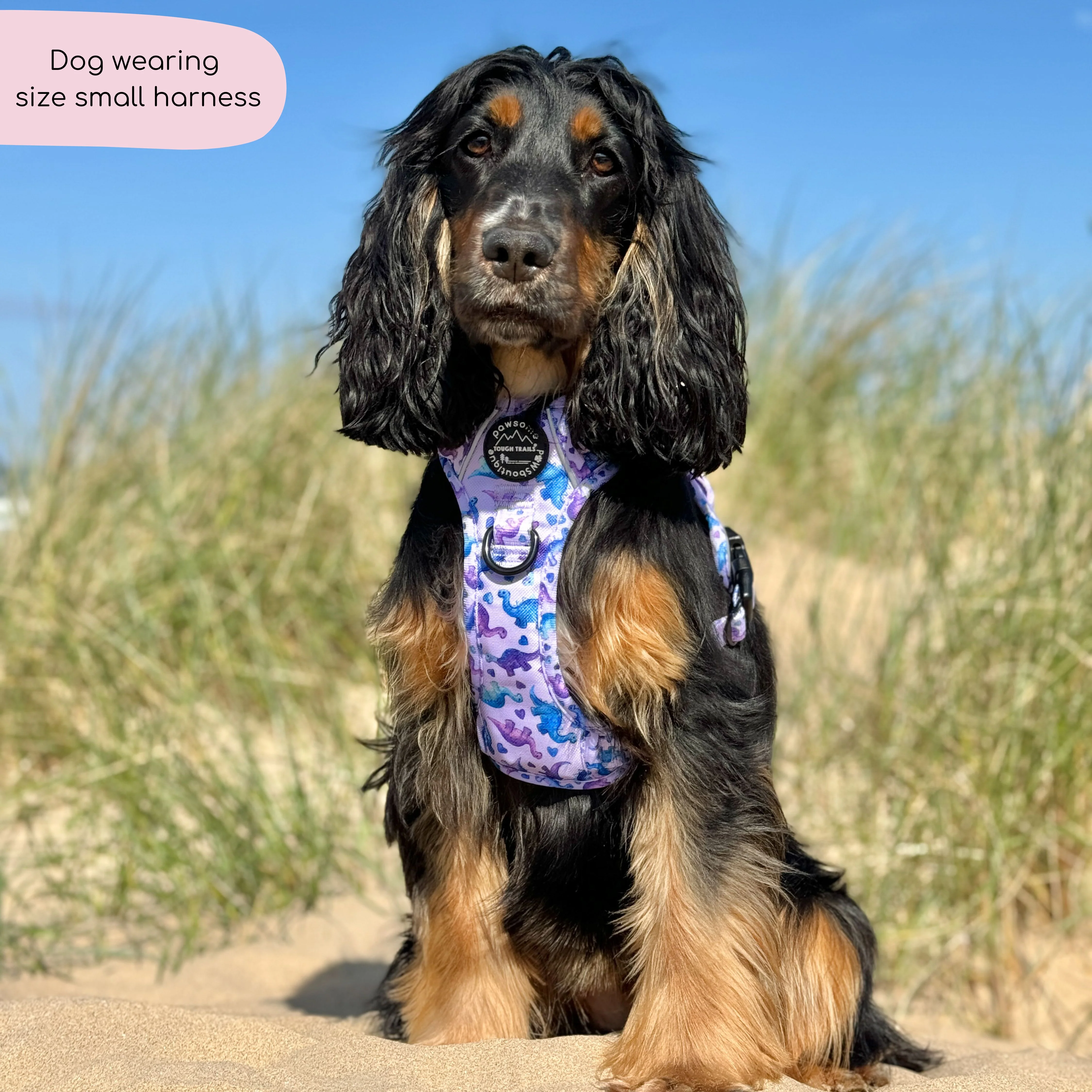 Tough Trails™ Harness - Tiny Diny - Image 6