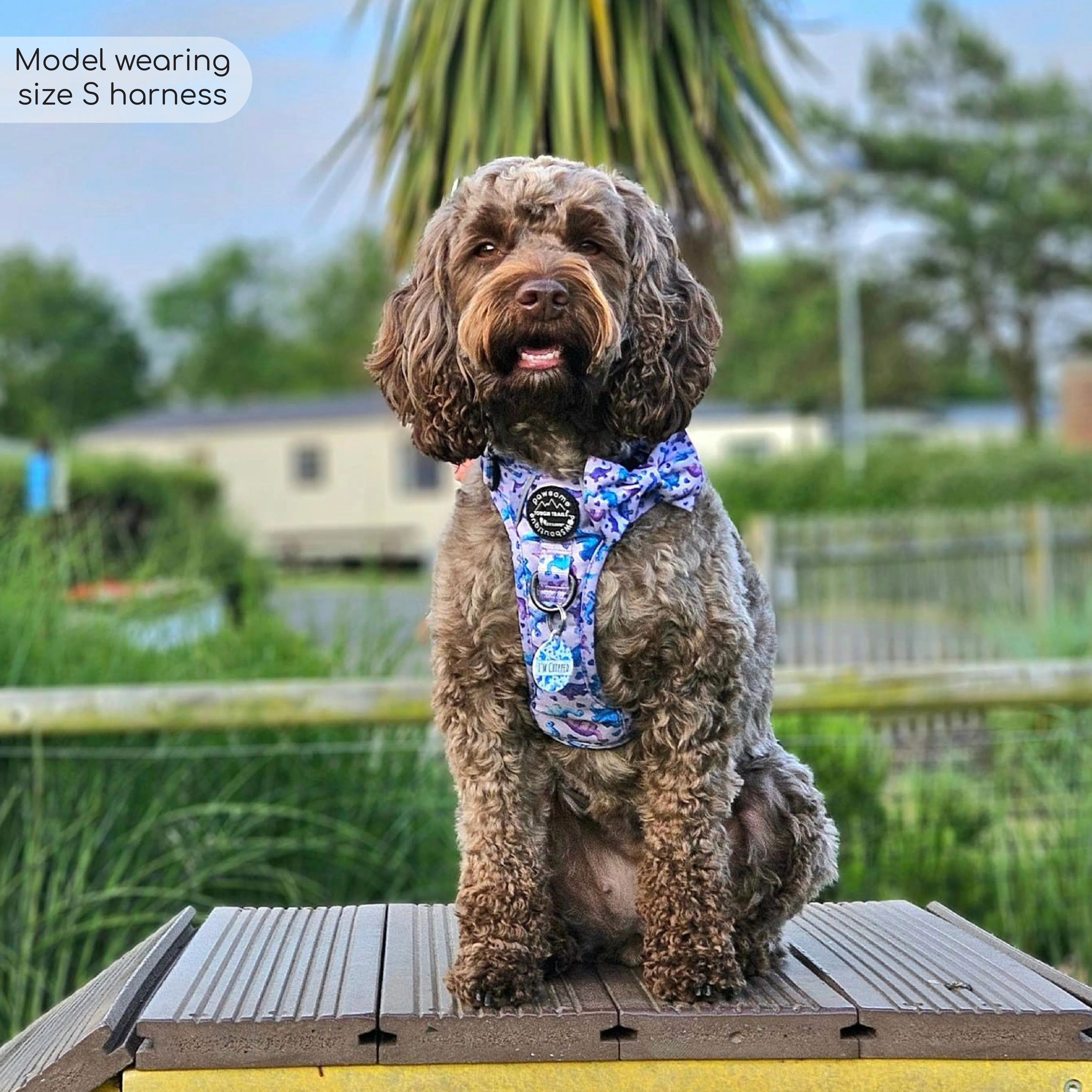 Tough Trails™ Harness - Tiny Diny - Image 7