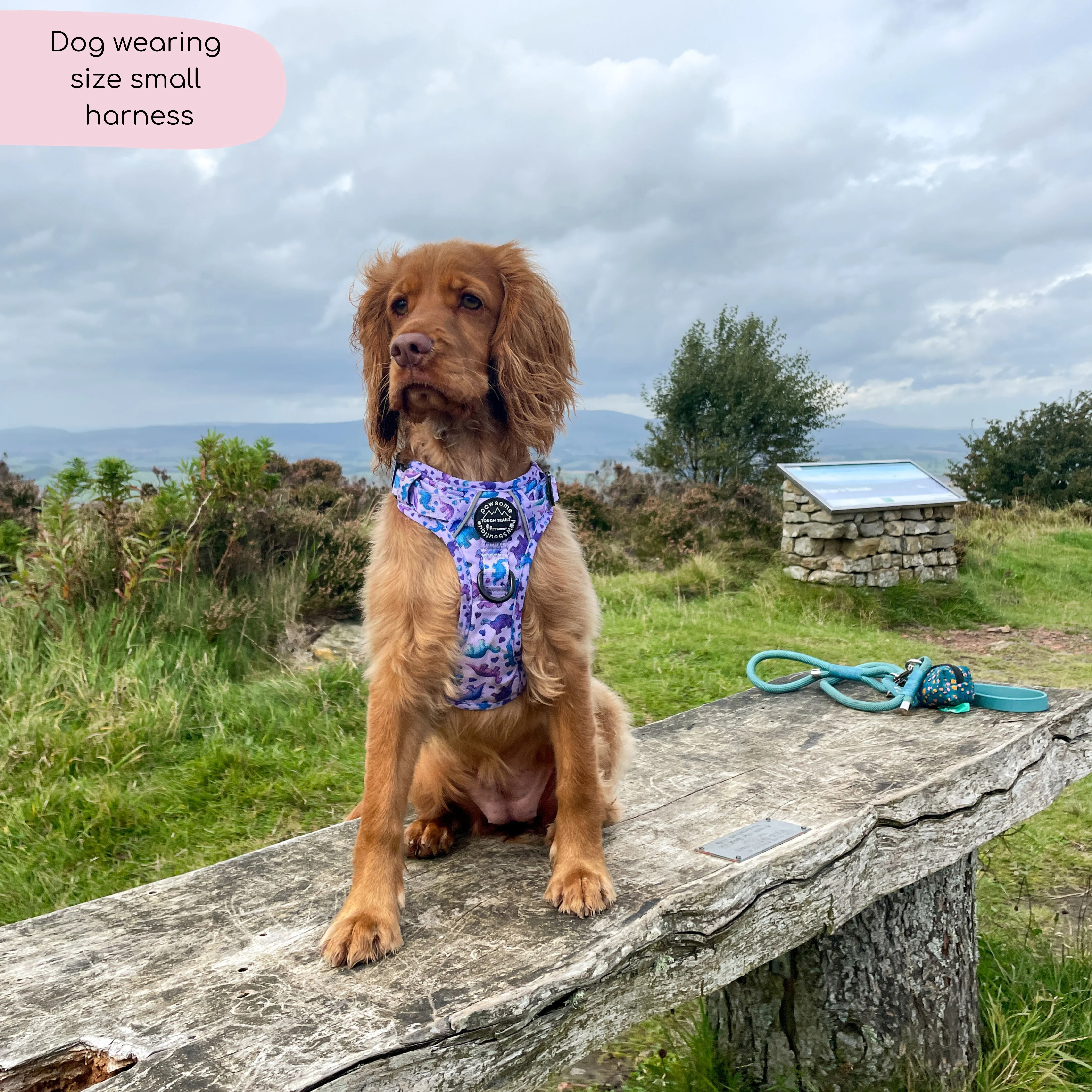Tough Trails™ Harness - Tiny Diny - Image 8
