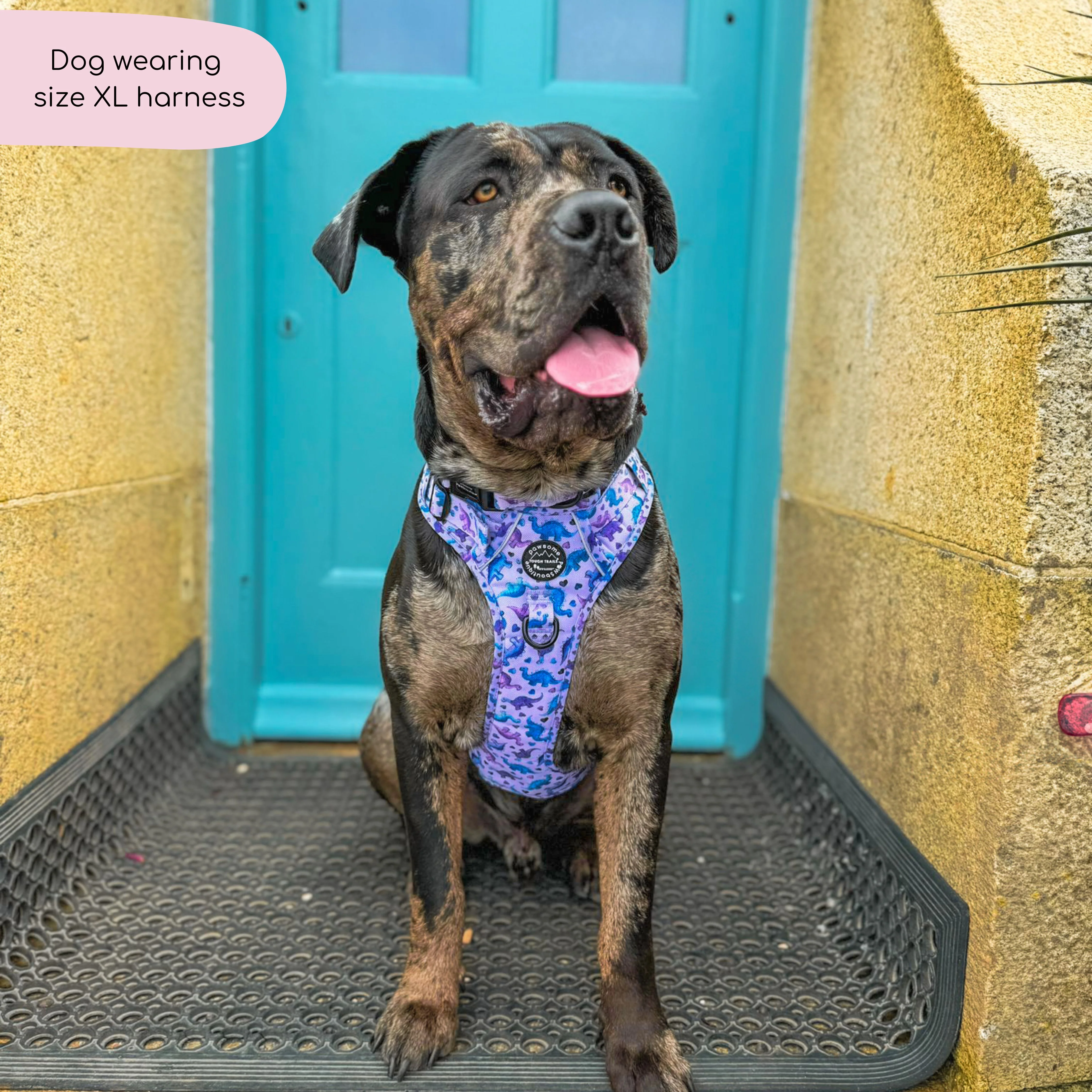 Tough Trails™ Harness - Tiny Diny - Image 9