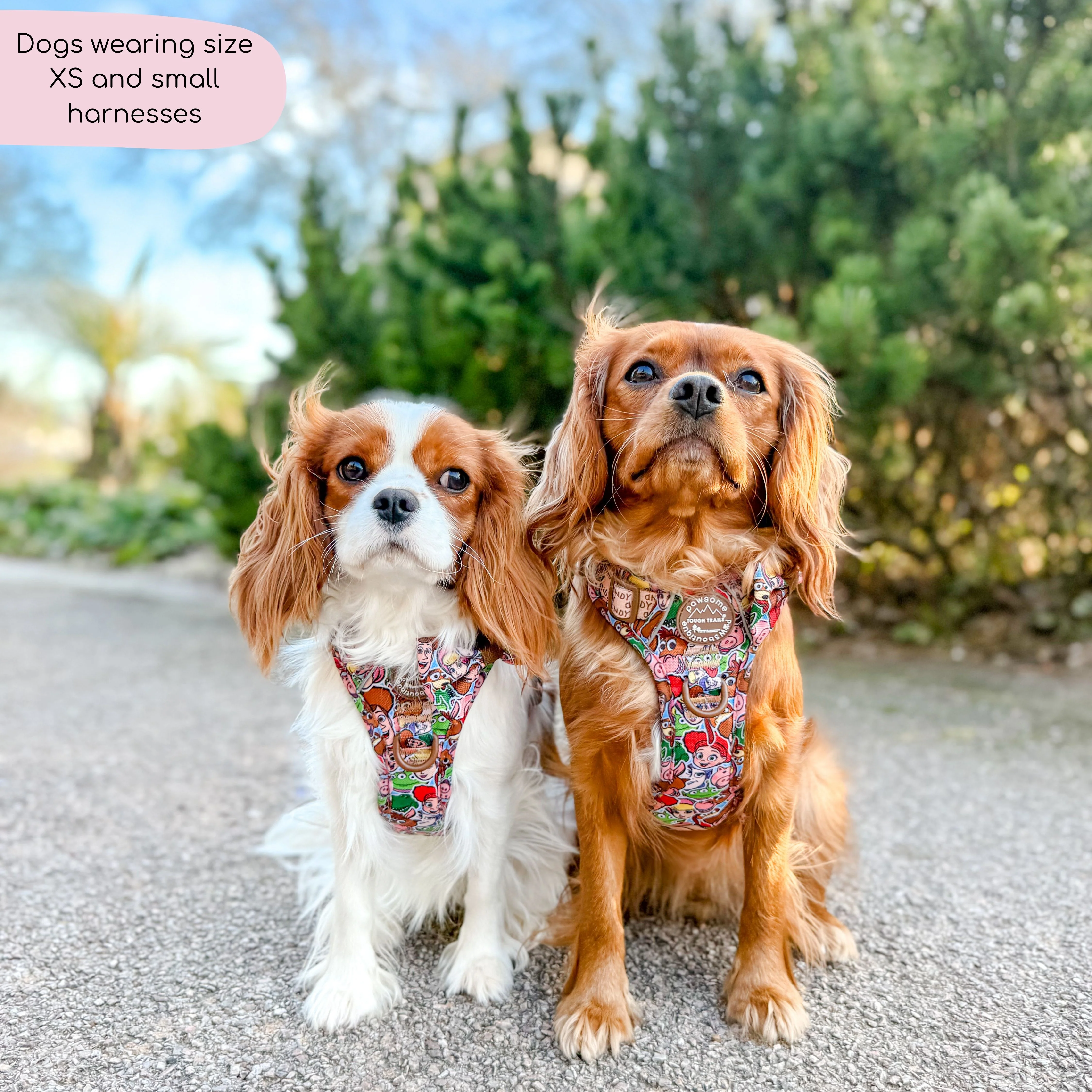 Disney© Tough Trails™ Harness - Toy Story Friends - Image 7