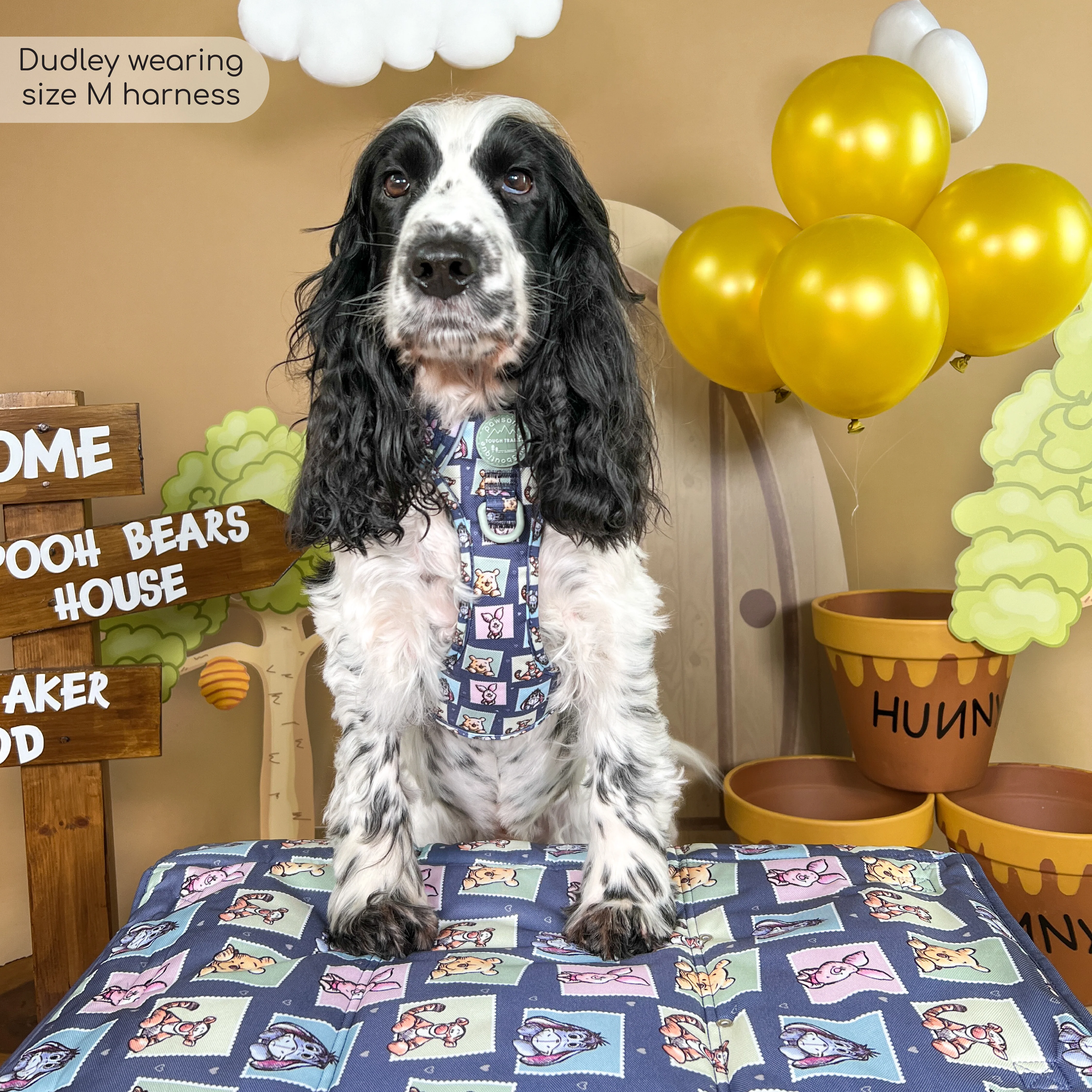 Disney© Tough Trails™ Harness - Winnie + Friends - Image 16