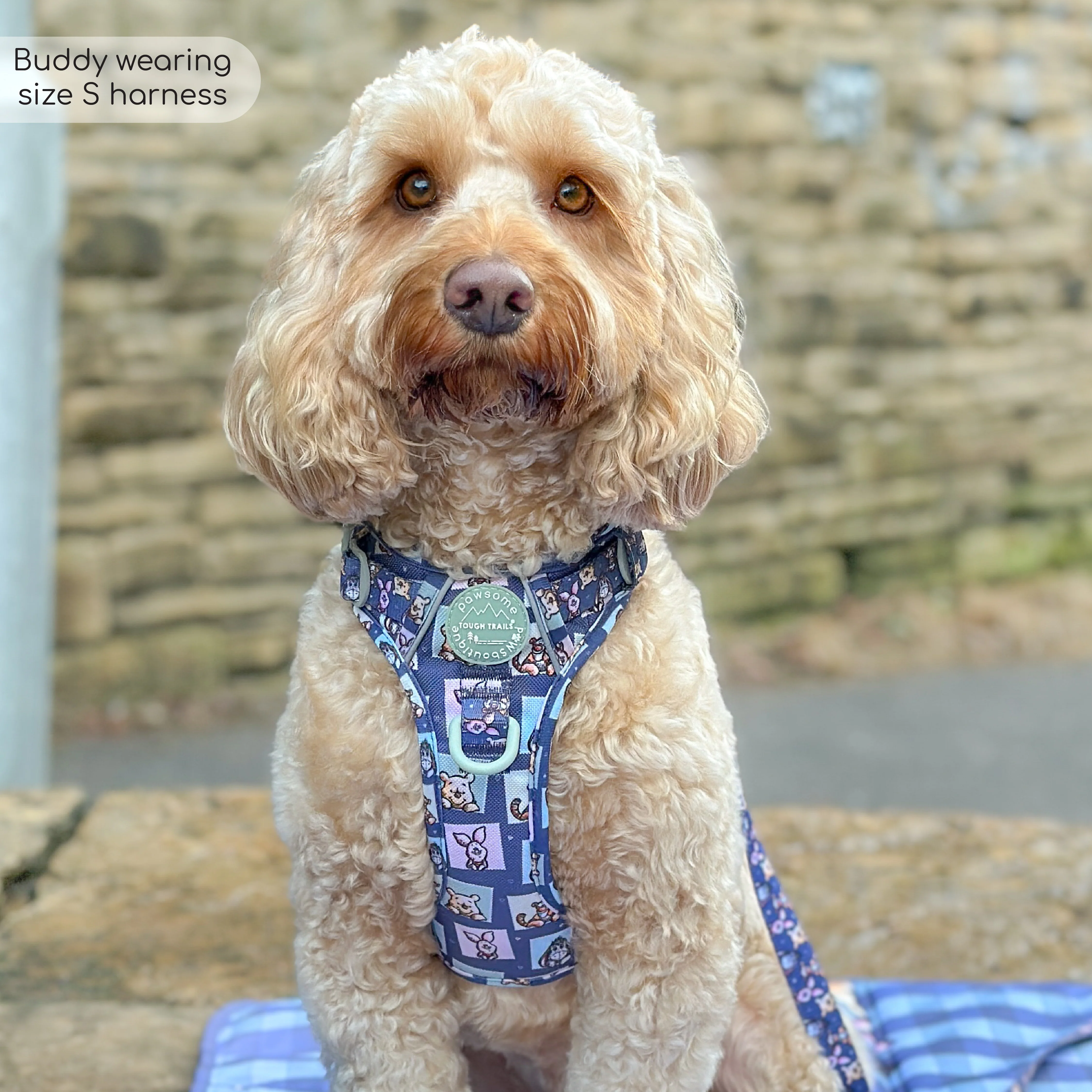 Disney© Tough Trails™ Harness - Winnie + Friends - Image 23
