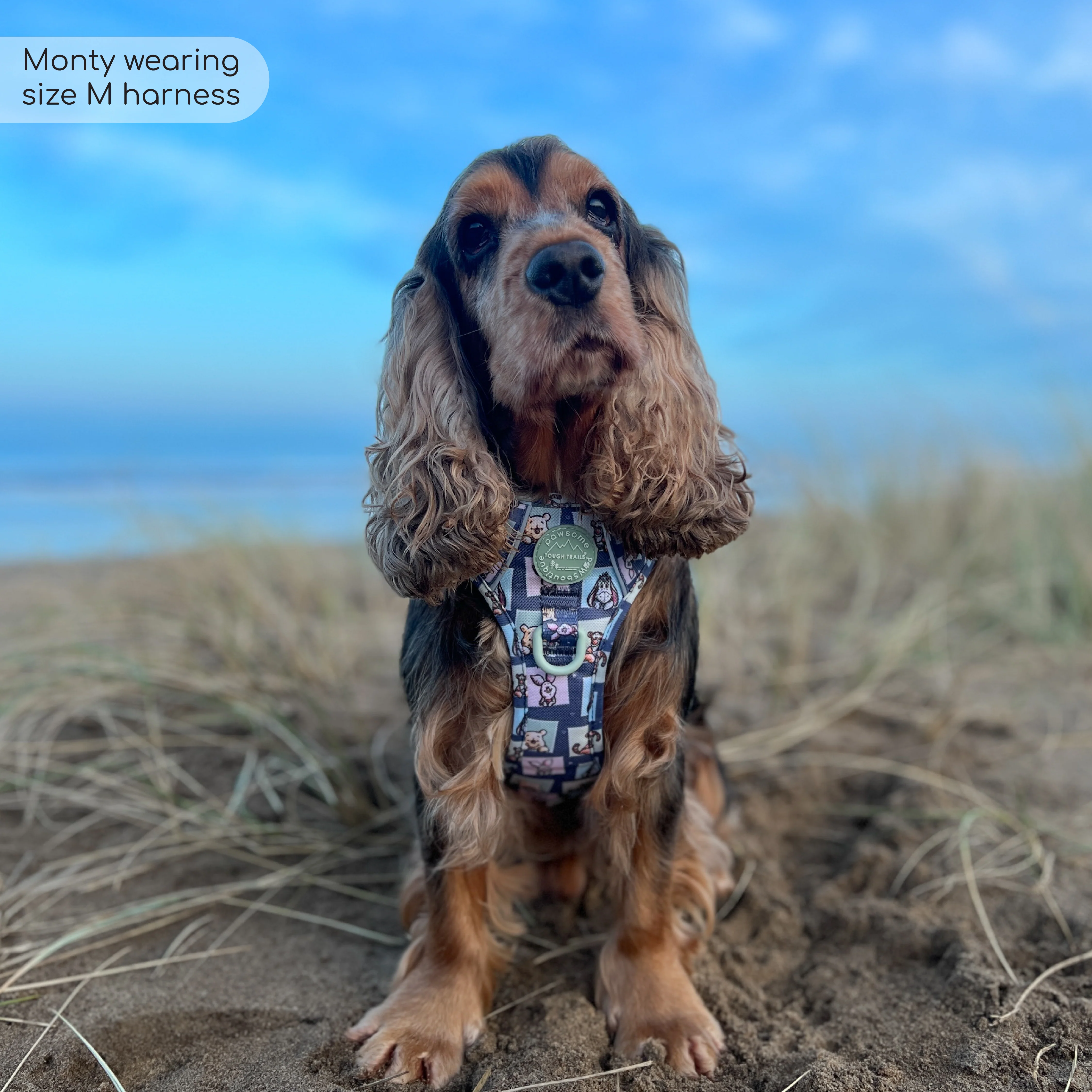 Disney© Tough Trails™ Harness - Winnie + Friends - Image 33