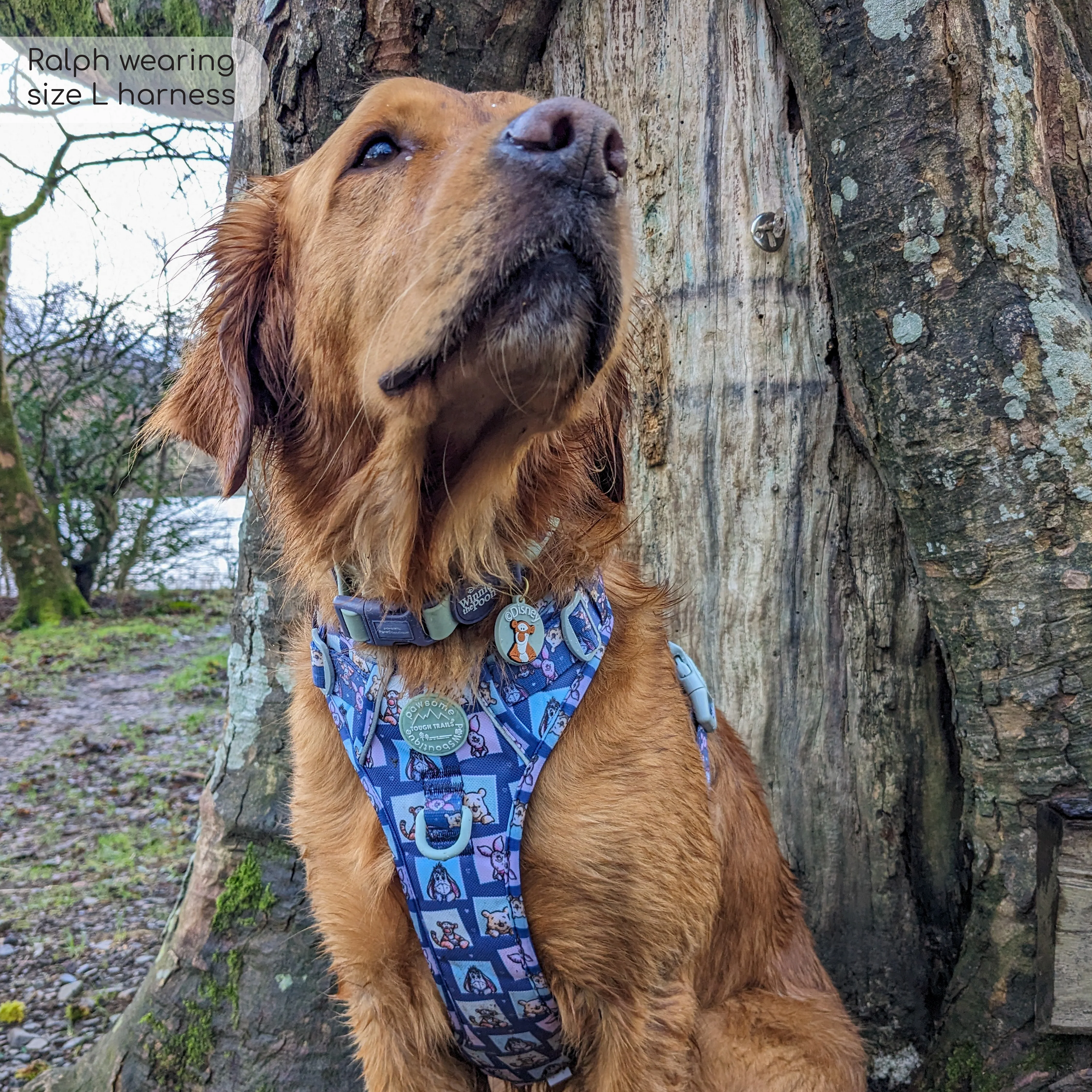 Disney© Tough Trails™ Harness - Winnie + Friends - Image 38