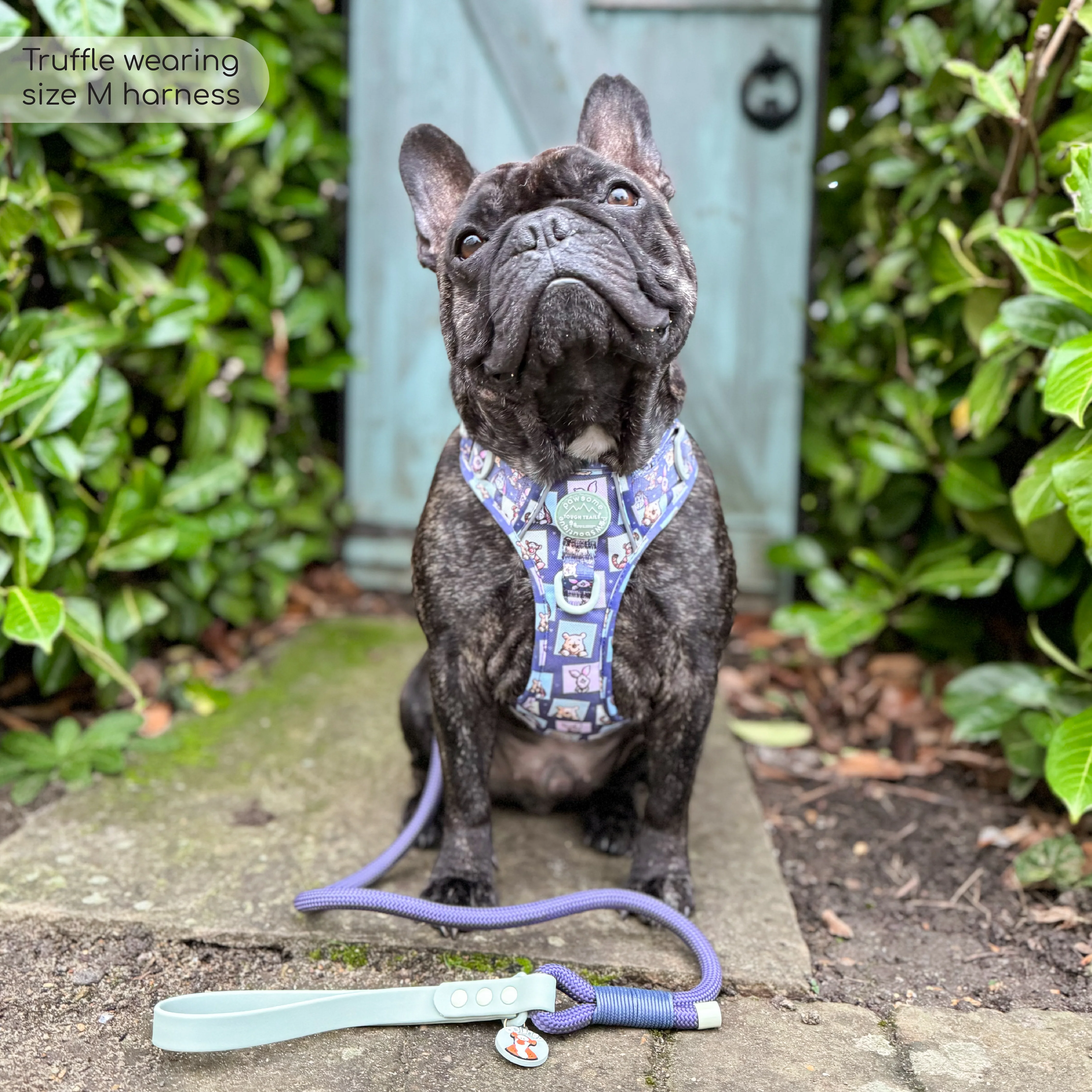 Disney© Tough Trails™ Harness - Winnie + Friends - Image 40