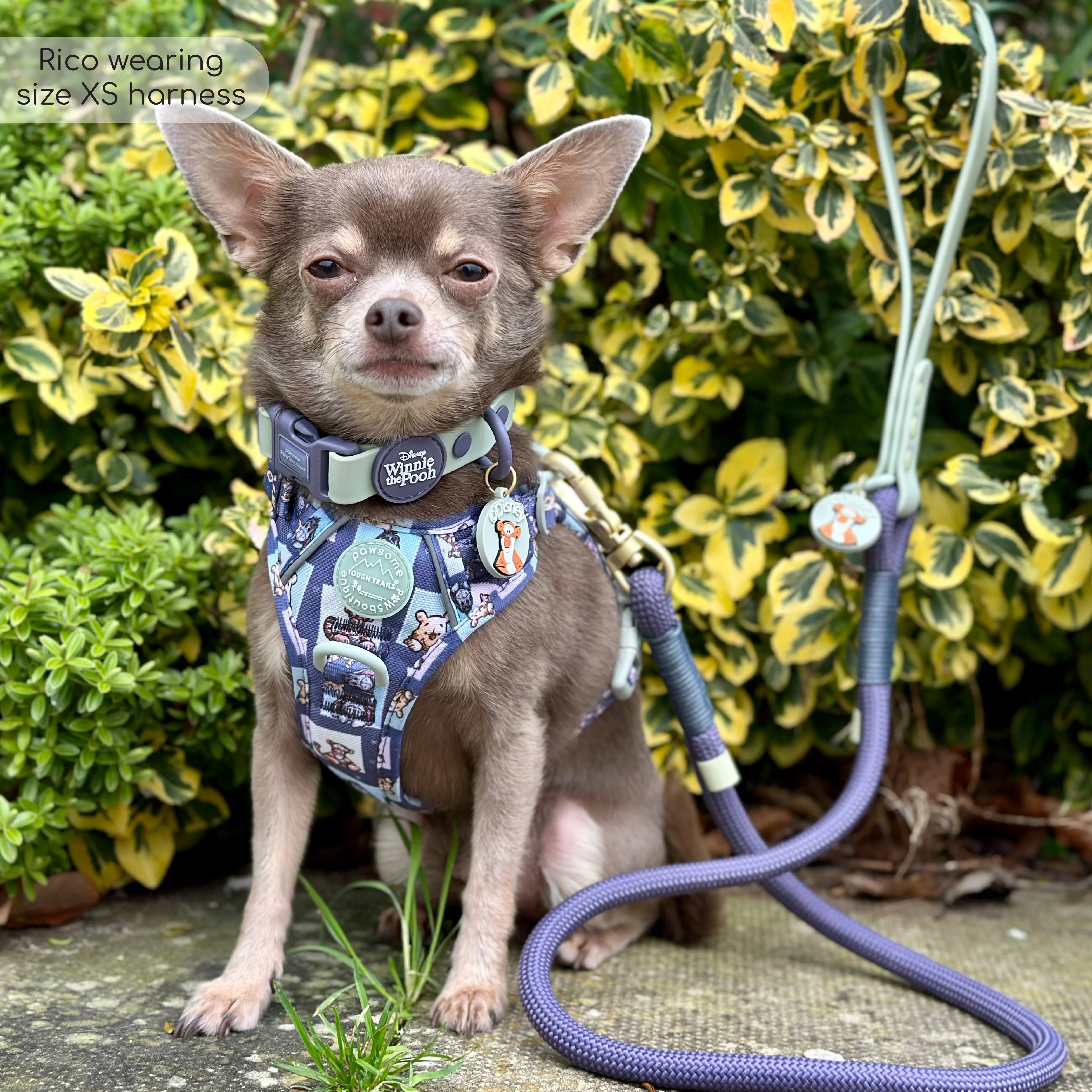 Disney© Tough Trails™ Harness - Winnie + Friends - Image 48