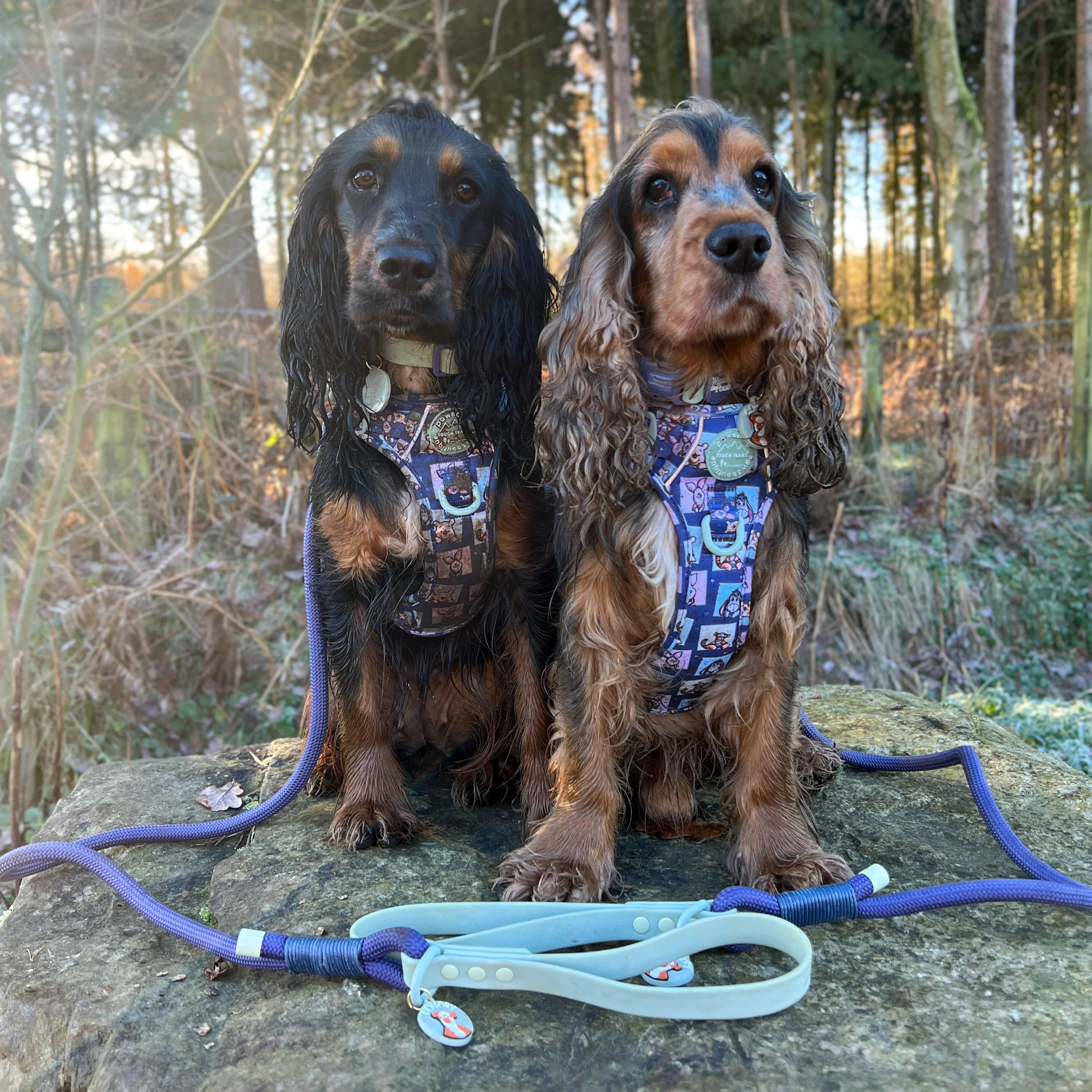 Disney© Tough Trails™ Harness - Winnie + Friends - Image 8