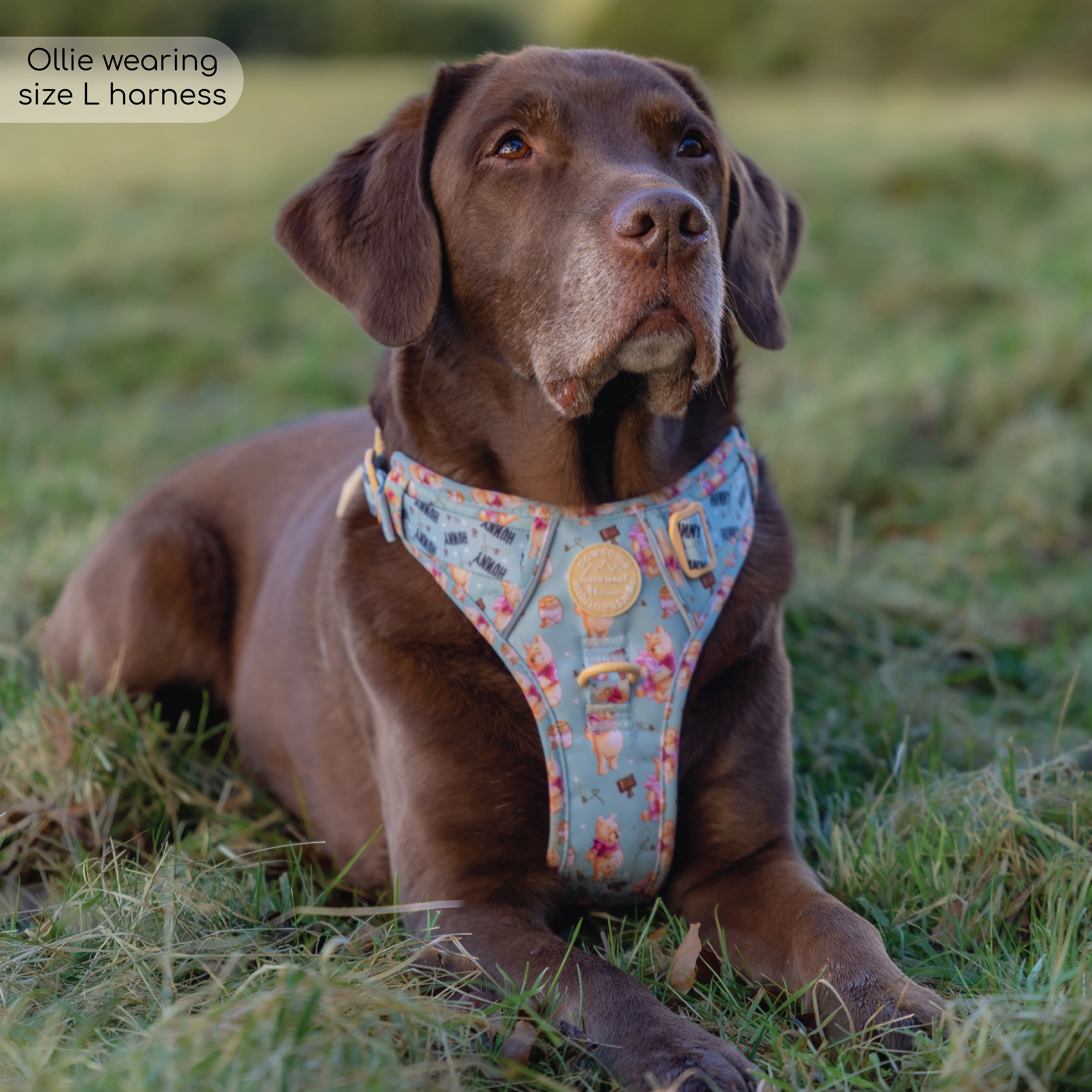 Disney© Tough Trails™ Harness - Winnie The Pooh - Image 17