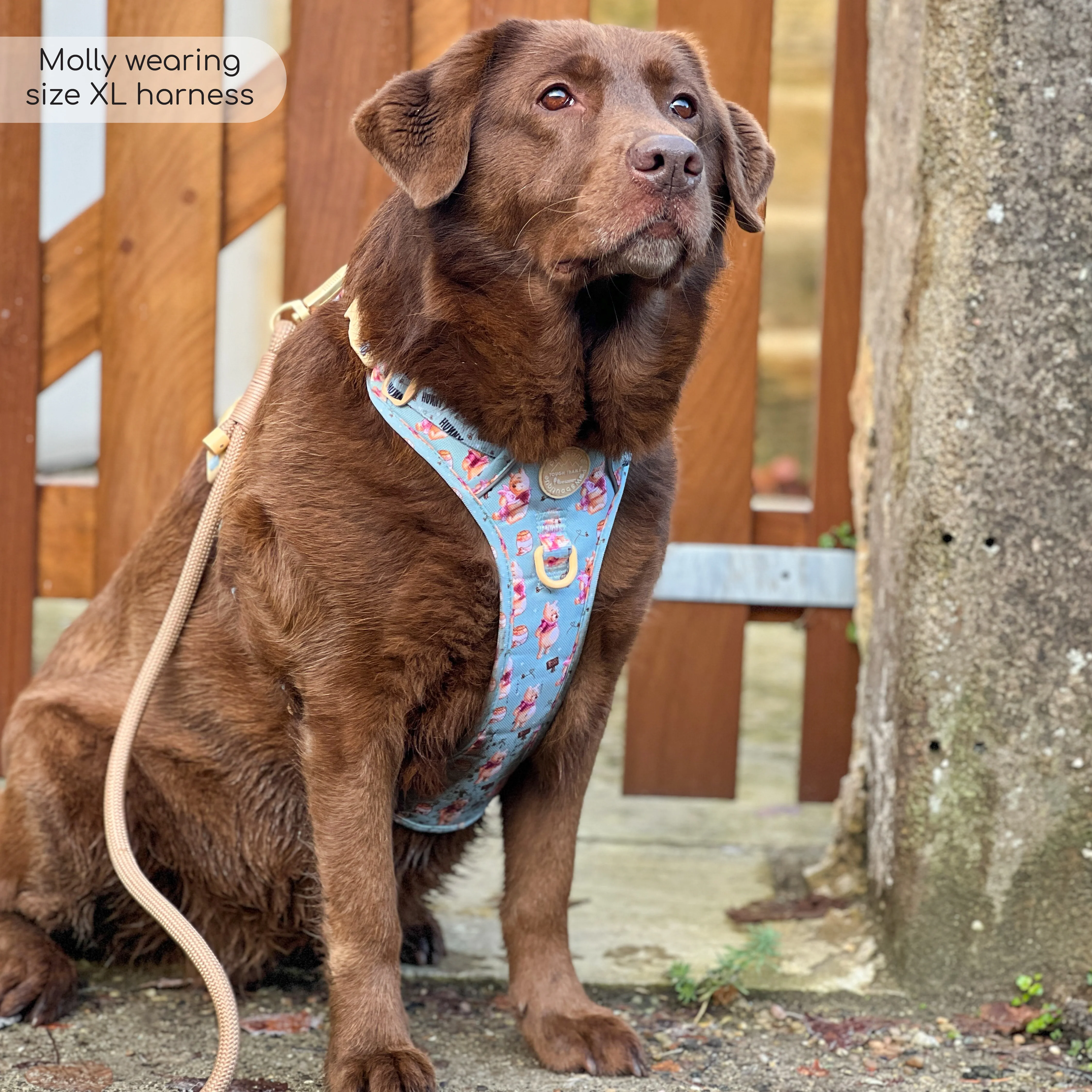 Disney© Tough Trails™ Harness - Winnie The Pooh - Image 20