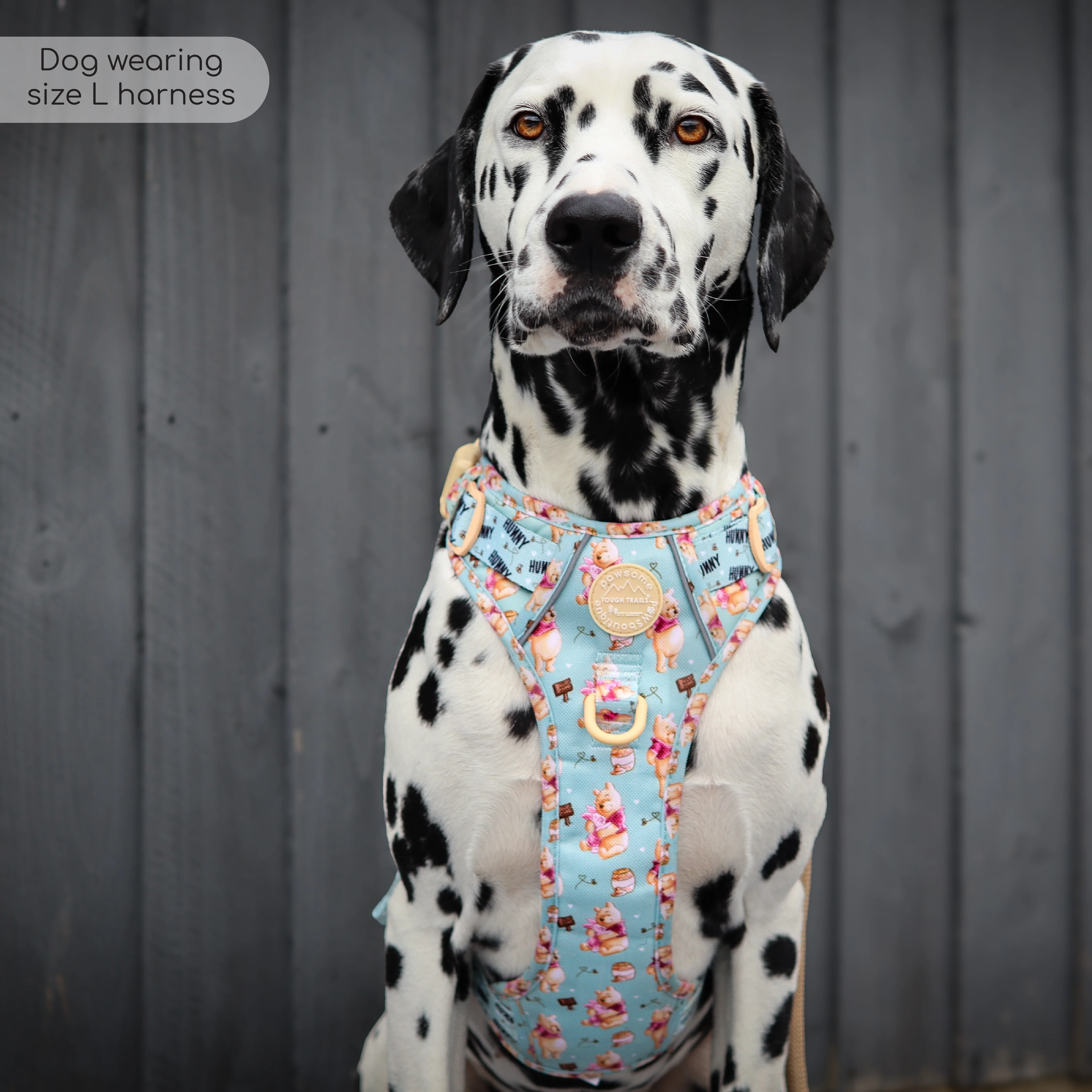 Disney© Tough Trails™ Harness - Winnie The Pooh - Image 26